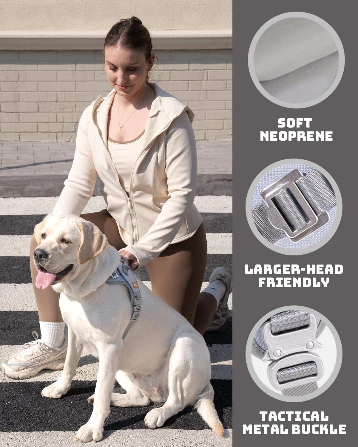 Df No Pull Step-In Martingale Dog Harness, Help Every Step Without Choking, Reflective & Adjustable, Front Clip Harness With Con