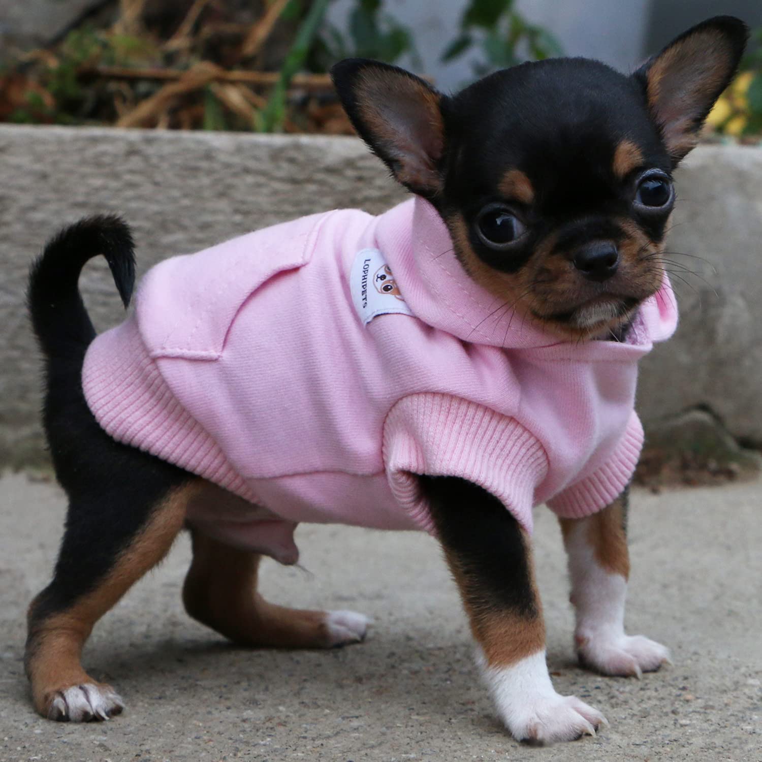 Lophipets Dog Cotton Hoodies Sweatshirts For Small Dogs Chihuahua Puppy Clothes Cold Weather Coat-Pink/Xxs