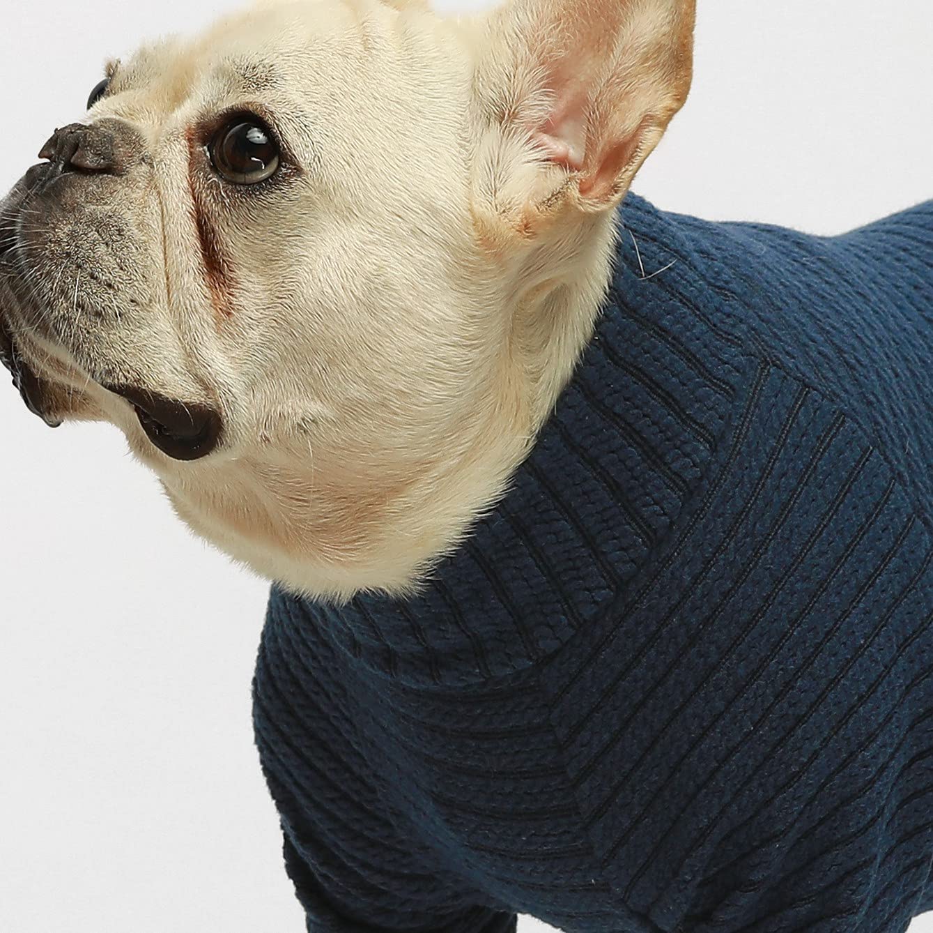 Fitwarm Turtleneck Knitted Dog Sweater Puppy Pajamas Thermal Doggie Winter Clothes Knitwear Pet Coats Cat Apparel Blue Small