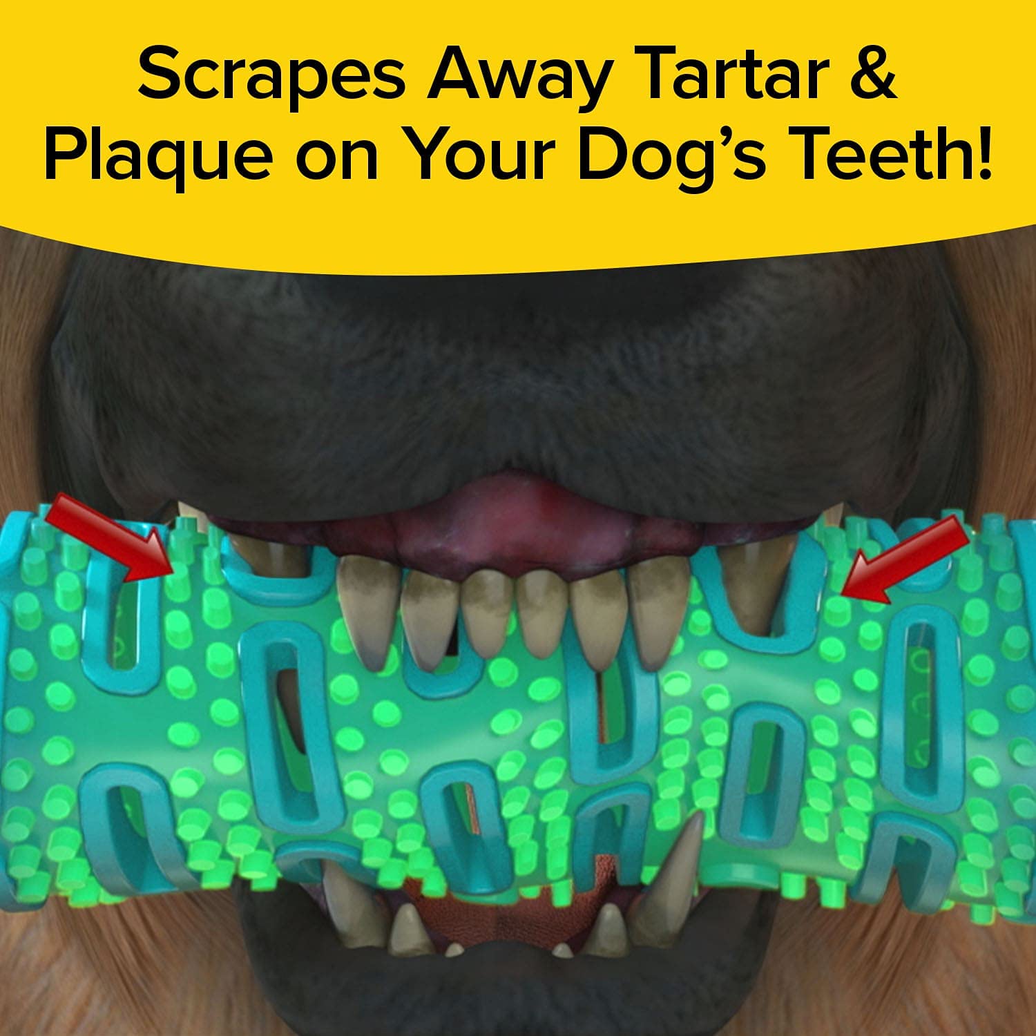 BulbHead Toothbrush, Dogs Chewing, Plaque and Tartar Remover for Teeth, Invented by a Dentist & His Hygienist Wife, 8 in. x 2 in