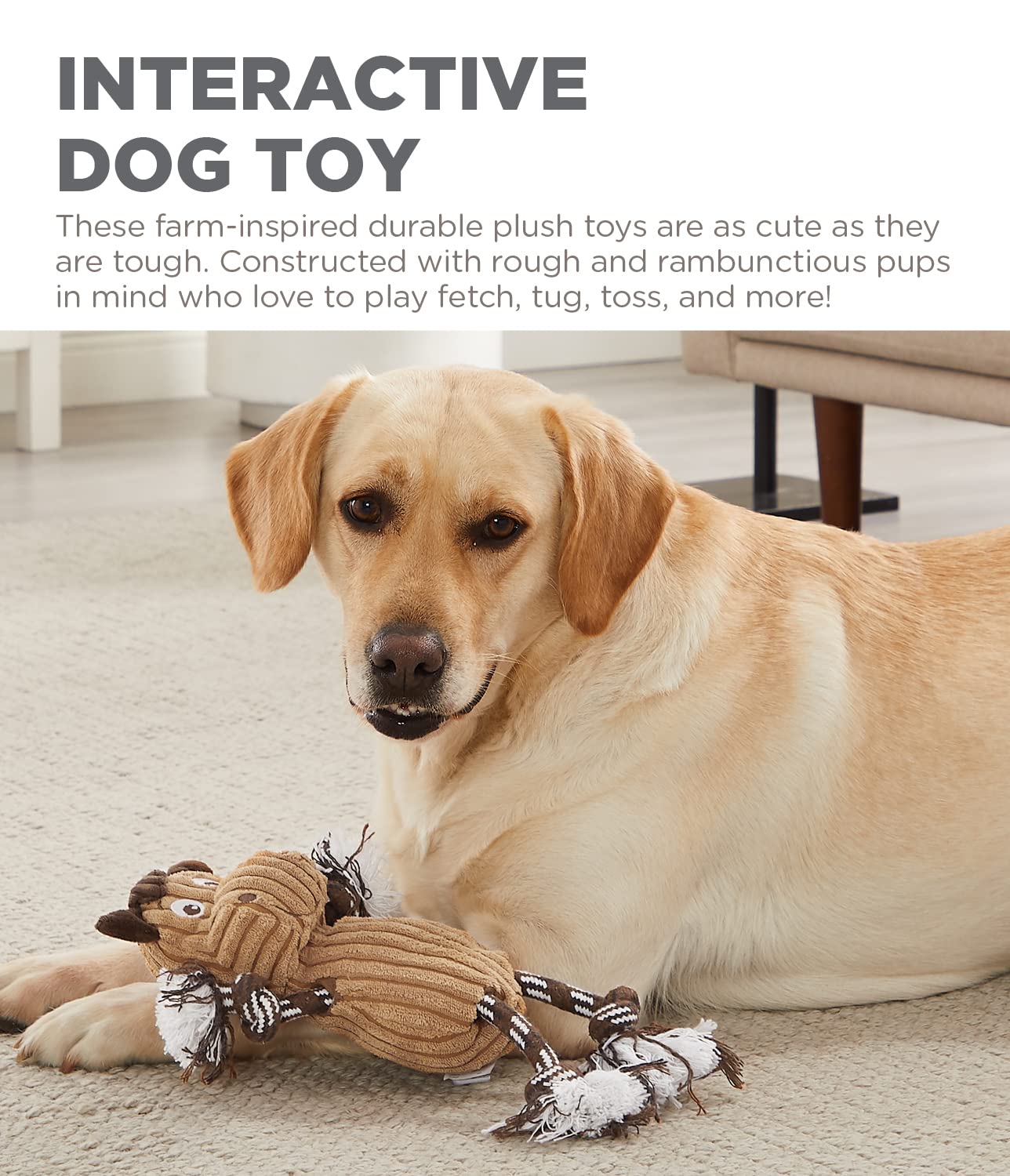 Outward Hound Ranch Roperz Horse Plush Squeaky Dog Toy