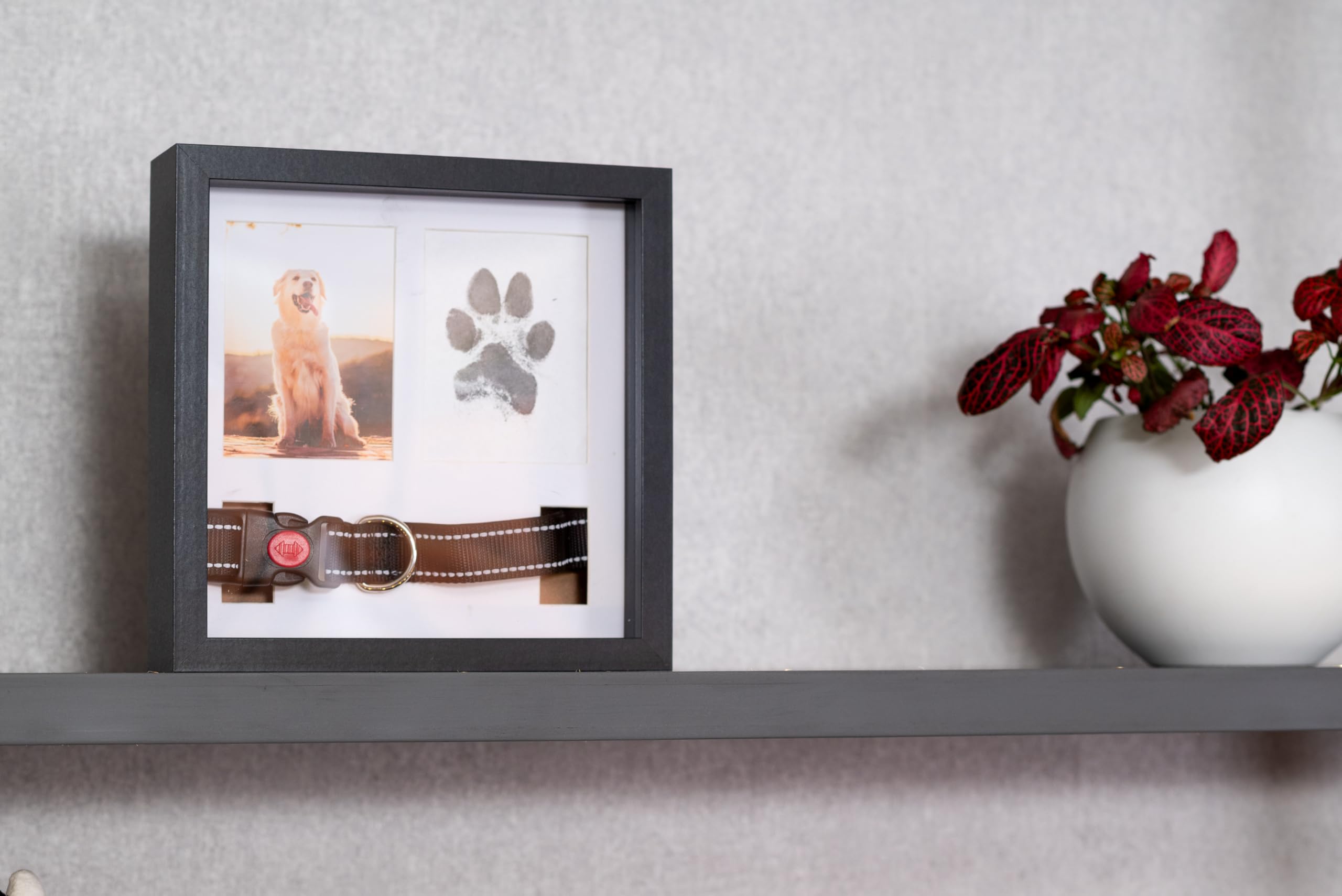 OtterPets Pet Memorial Dog Picture Frame, 4 Customizable Displays, 9x9, Paw Print Kit for Dogs, Pet Memorial Gift for Dogs, Loss