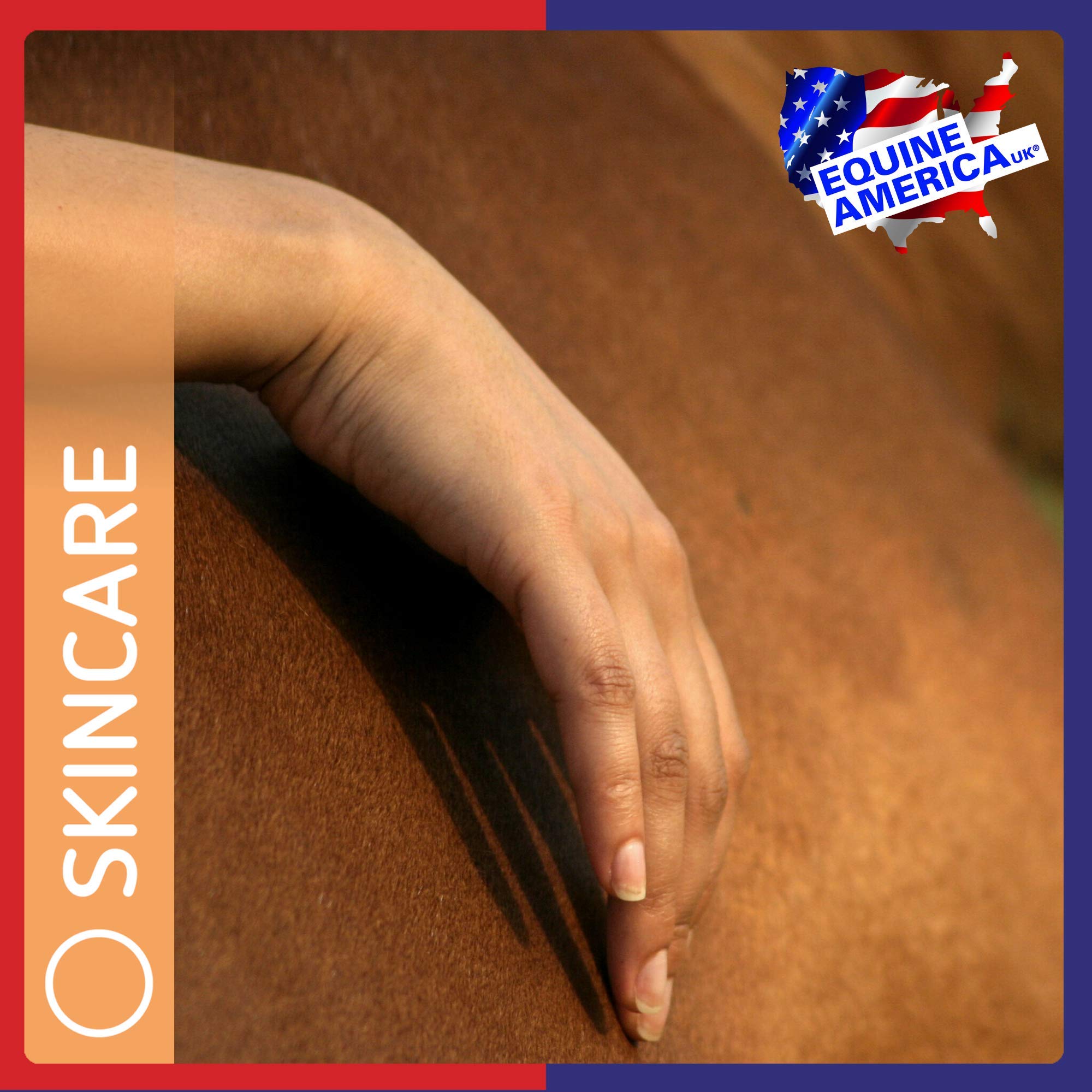 Veterinus Derma GeL PAW Care Pack with 5 x Mini Tubes 10mL - 0.34 fl.oz. - CAT Safe Non Toxic Contains: Freeze Dried Lavender ex