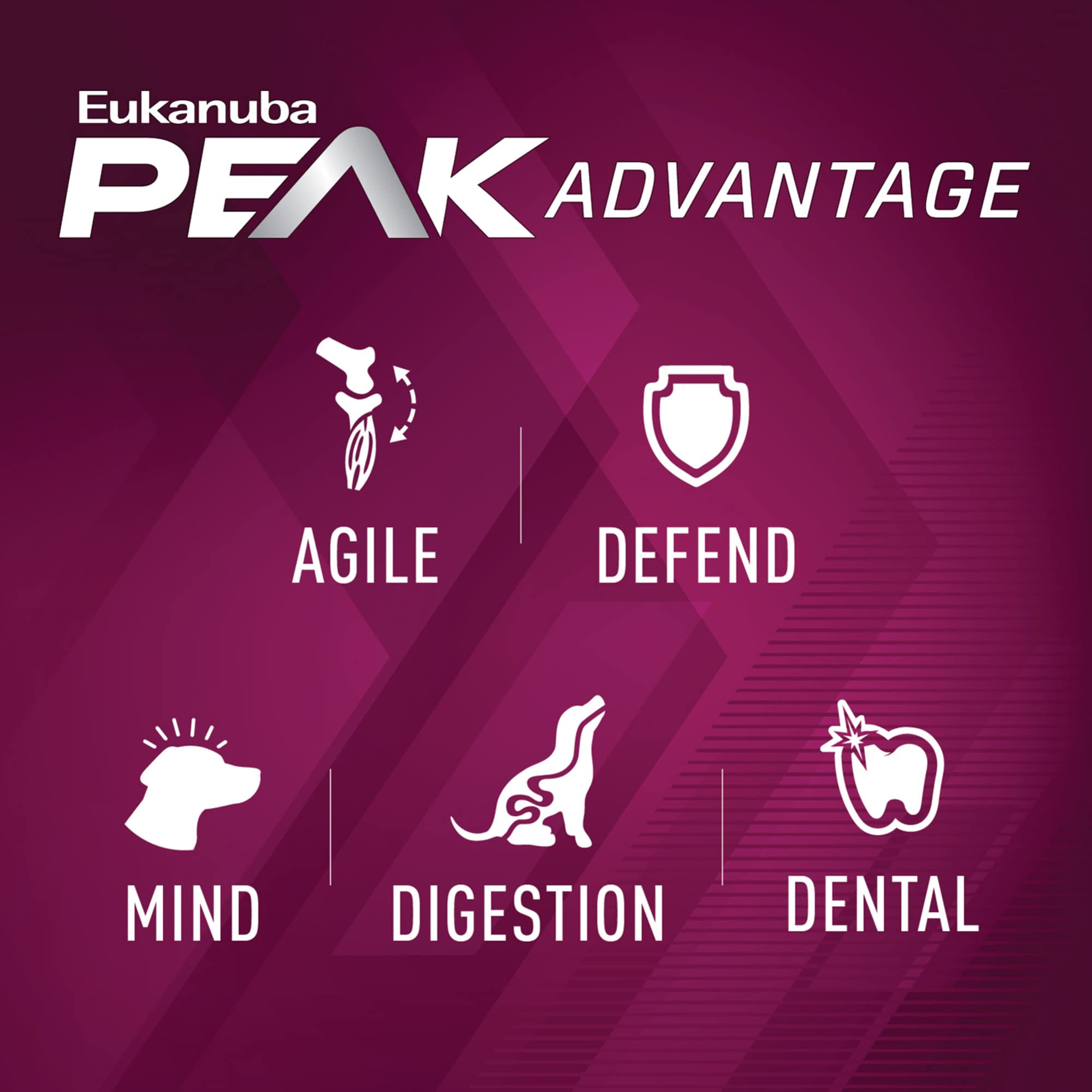 Eukanuba Premium Performance 21/13 Sprint Dry Dog Food, Dry Dog Food with Protein and Fat to Support Optimal Energy, 28 lb Bag