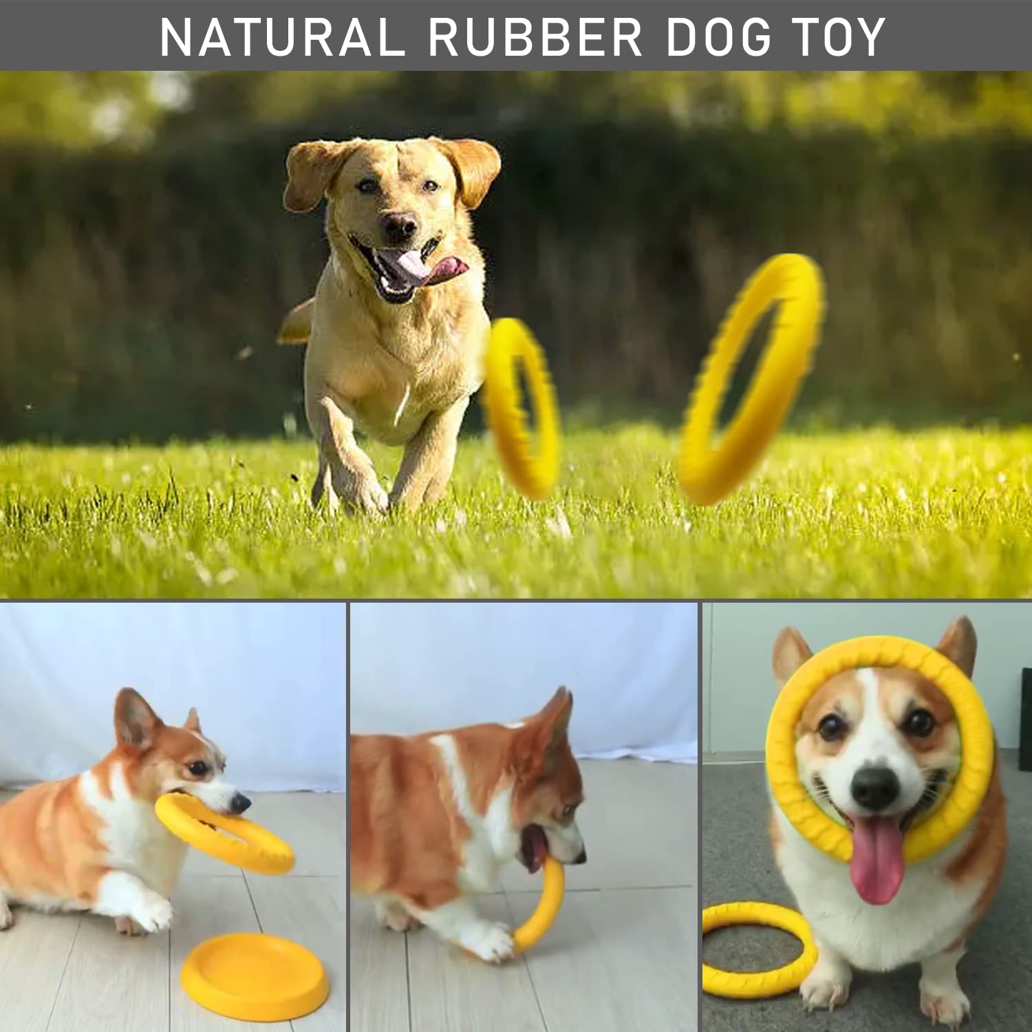 Dlder Dog Flying Disc,Floating Dog Ring Toys, Indestructible Dog Chew Toys For Small Chewers Dog Toys For Pool,Float Durable Out