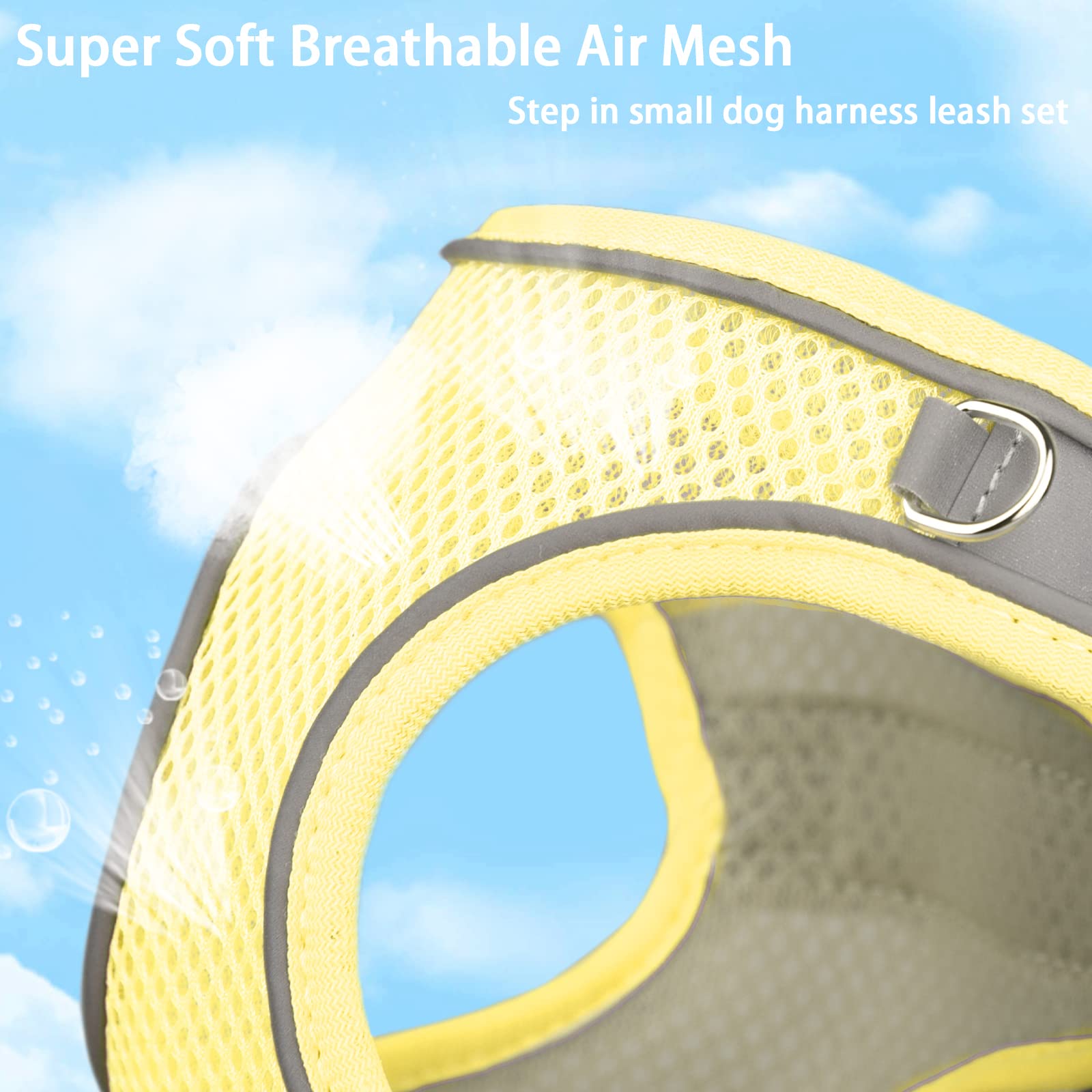 Petpubgnzs Soft Small Dog Harness And Leash Set Step In Air Mesh Puppy Harness Leash Easy Walk Dog Harness Vest Adjustable Refle