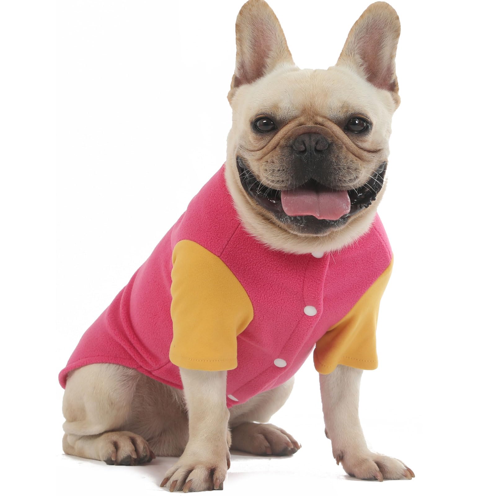 Sweater Clothes For Small Medium Dogs Boy And Girl - Jacket Winter Coat With O-Ring Leash, Stretchy Warm Sweatshirt, Cat Puppy A