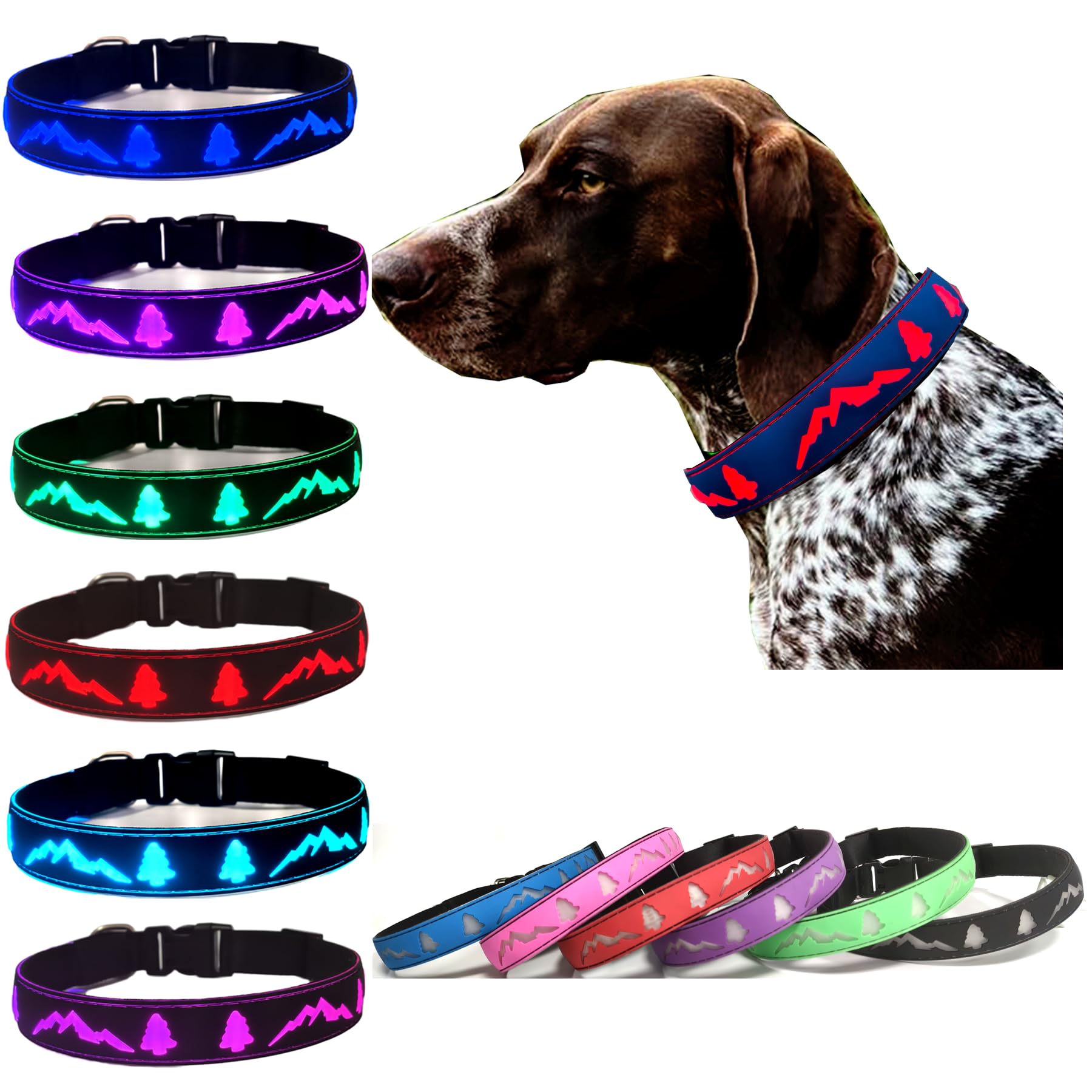 Dogled Led Dog Collar, 15 Light Modes, Usb-C Rechargeable, Silicone Material, Adjustable Size, (Blue, M(11.8-15.7''))