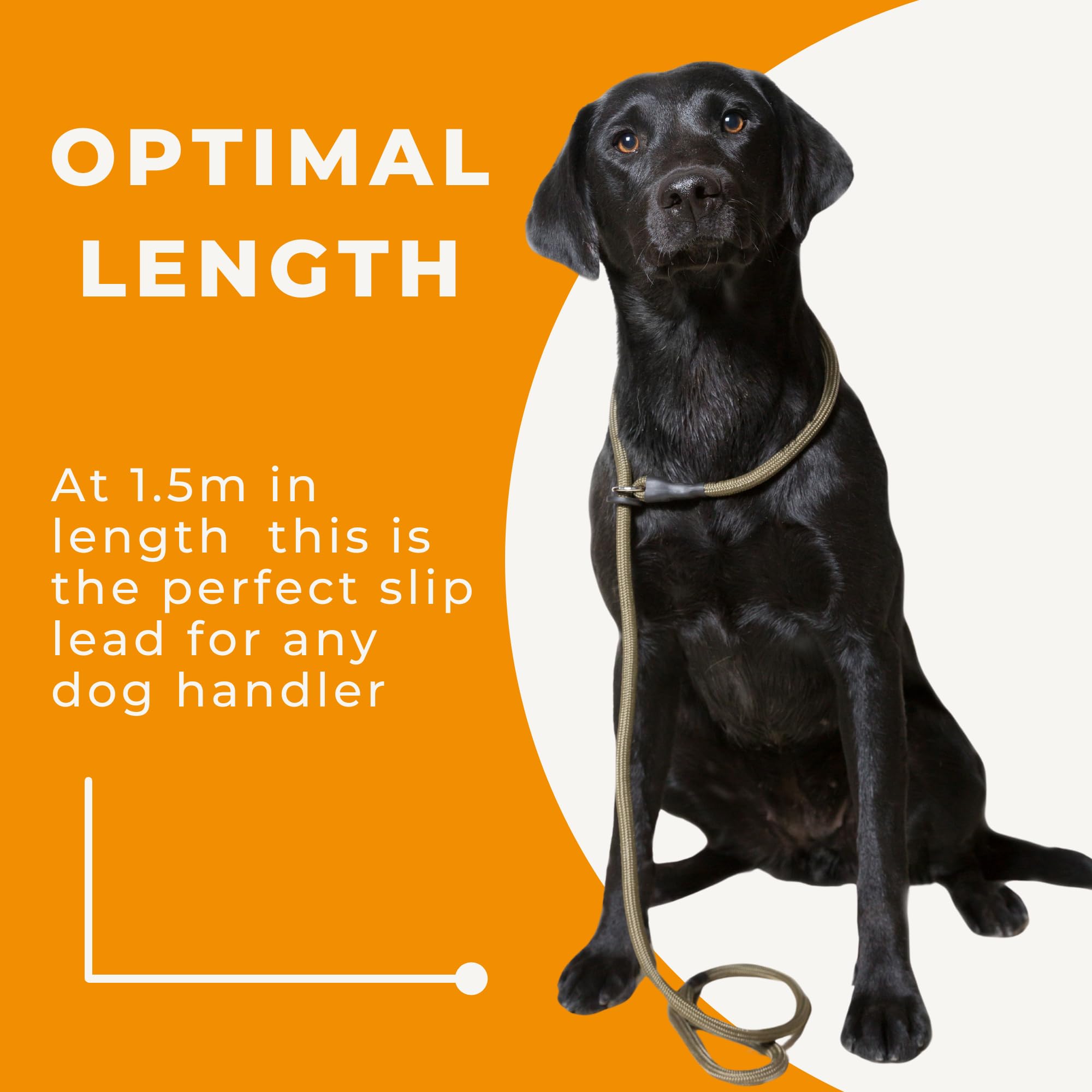 Dog & Field Deluxe Gundog Slip Leash - Green. Super Soft Braided Nylon Slip Leash For Dogs With Rubber Stopper, Easy To Slip On, No Collar Or Harness Needed. One Size Fits All Training Leash For Dogs