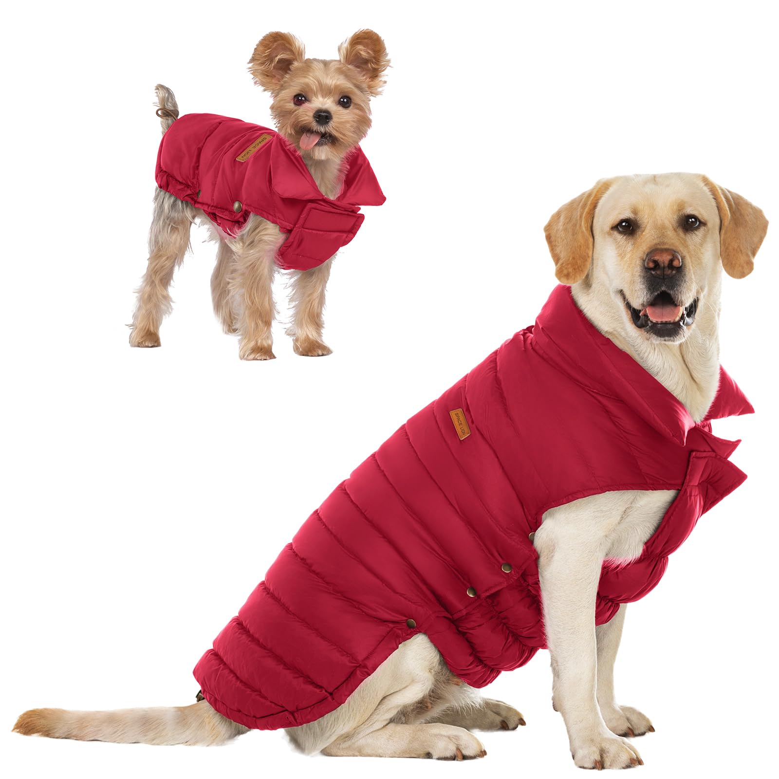 Space Lion Dog Puffer Jacket, Down Dog Winter Coat, Waterproof, Windproof, Lightweight Dog Jacket, Adjustable Fit Dog Coat For S