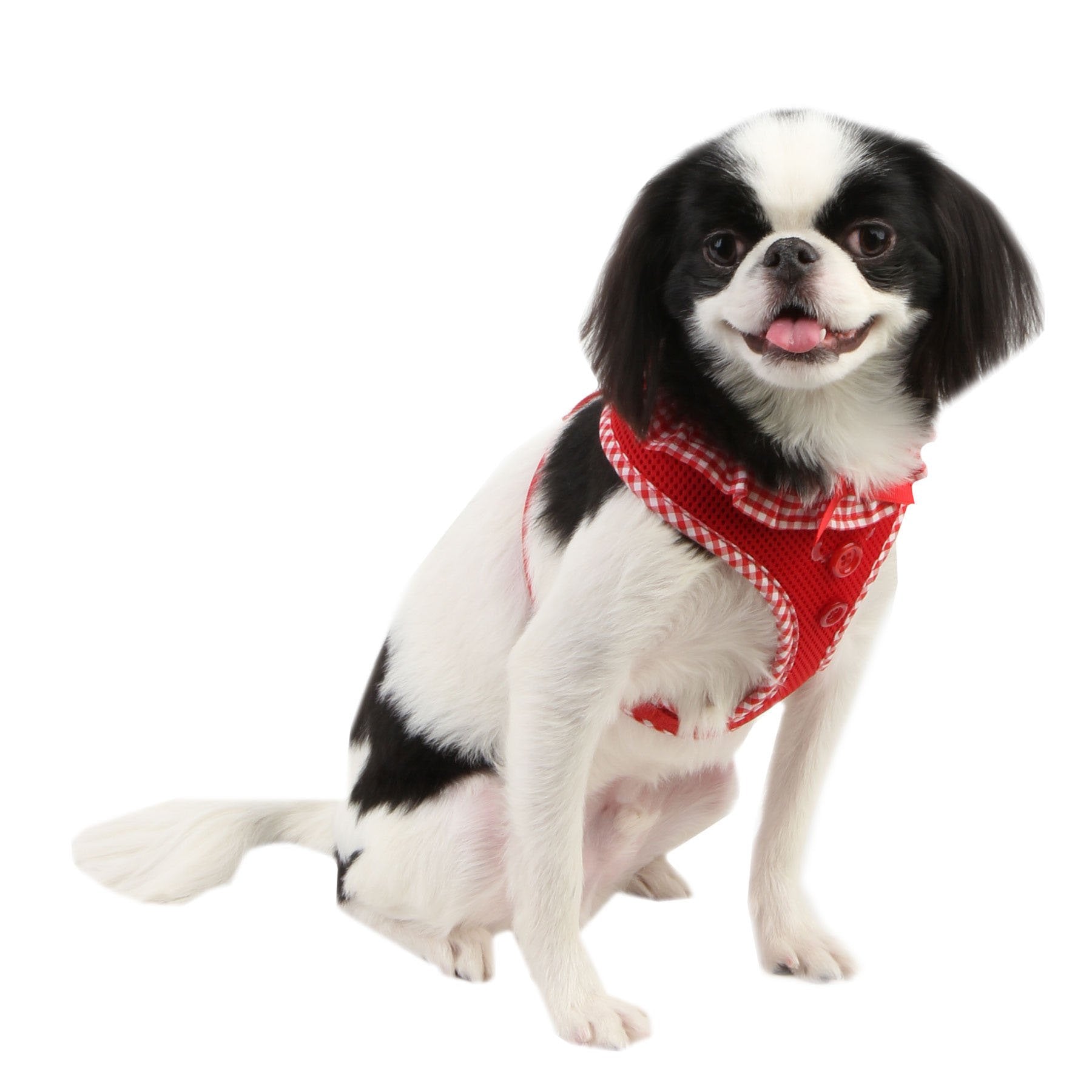 Authentic Puppia Vivien Harness, Red, Large