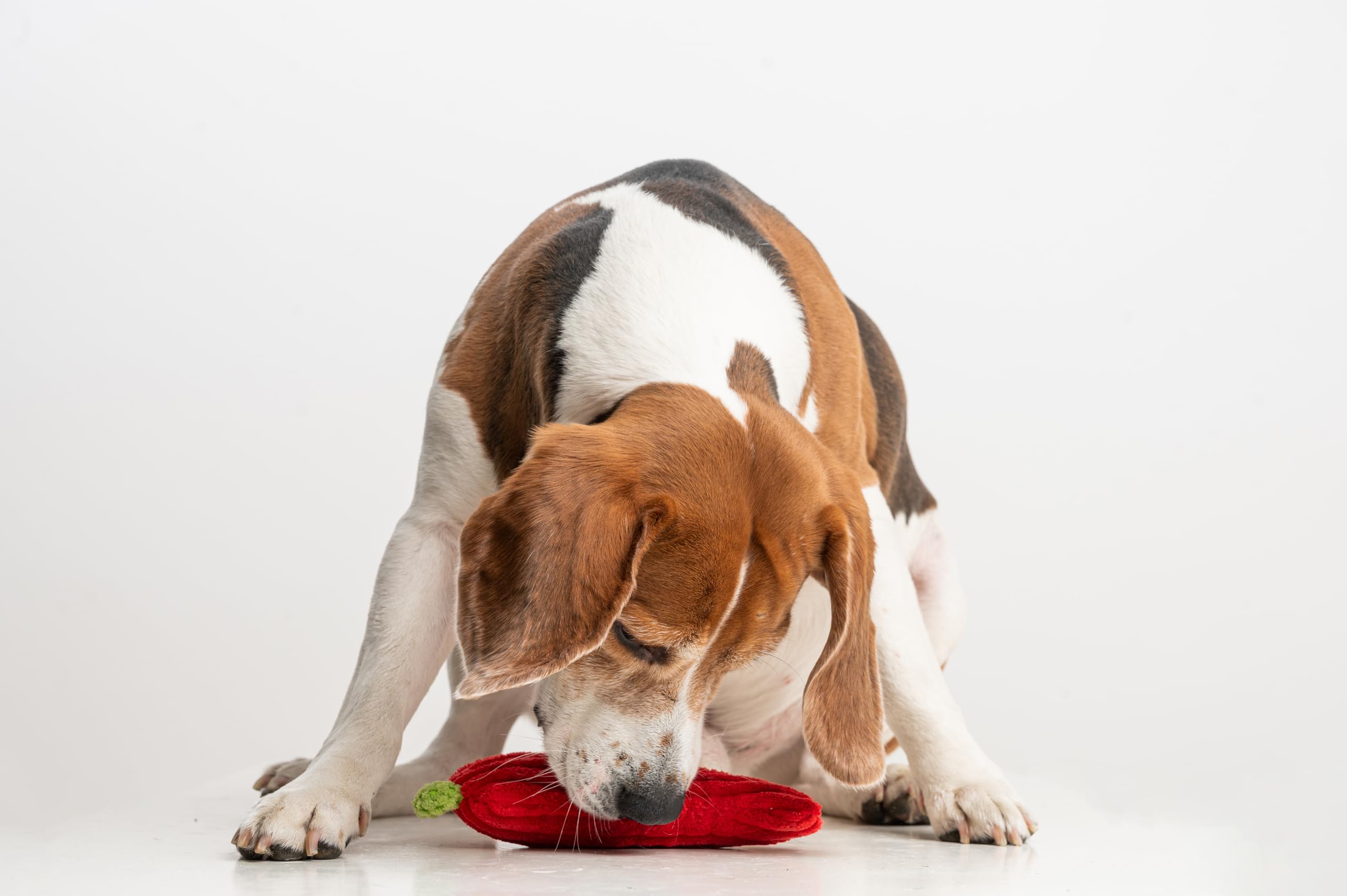 Puffy Crew Squeaky Dog Plush Toy, Bite_Stick Collection, 8', For Small And Medium Dogs (Red Chili)