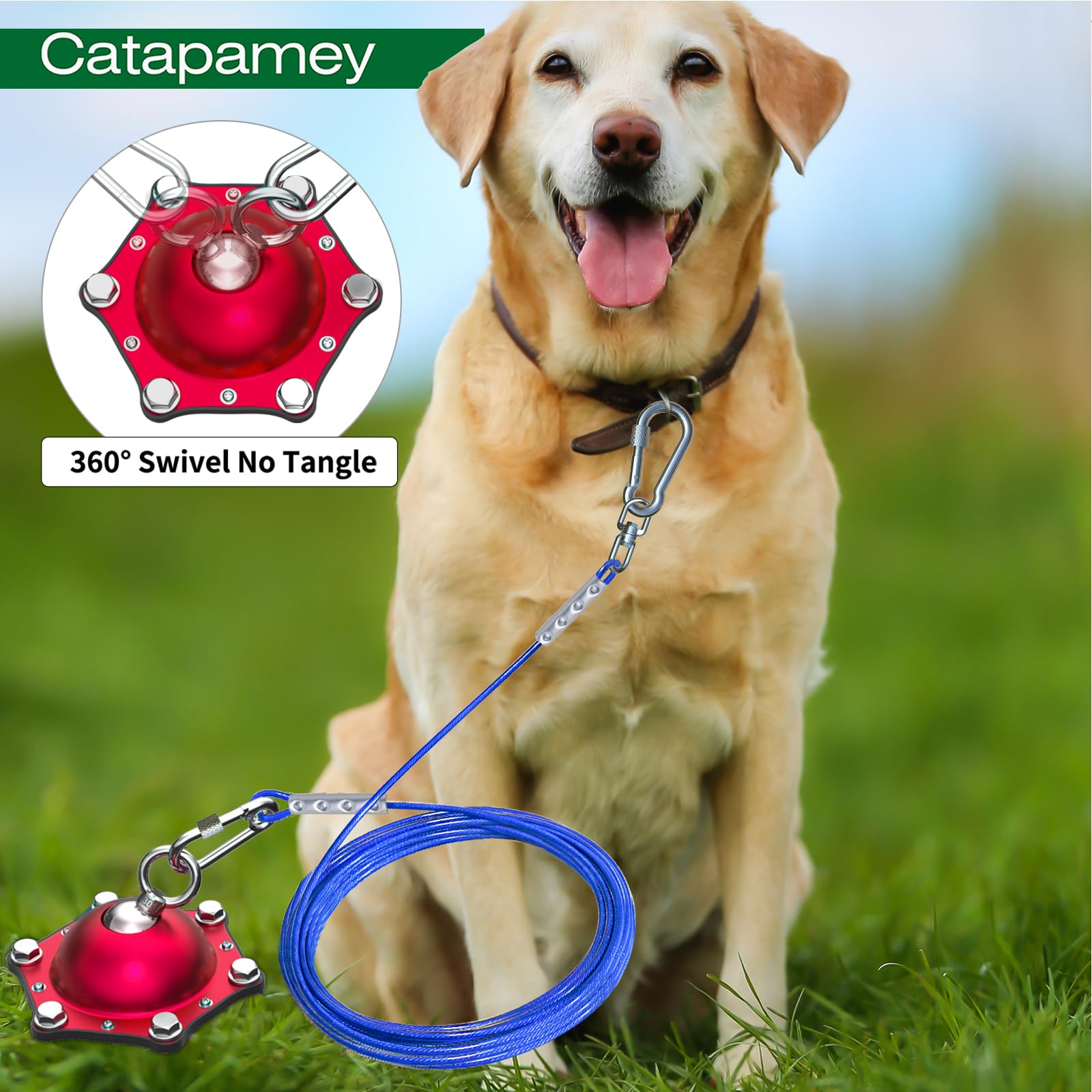 Catapamey Dog Tie Out Cable And Stake For Yard,(Up To 200Lbs) 360Swivel Dog Run Anchors- No Tangle,With 30Ft Heavy Duty Tie Out