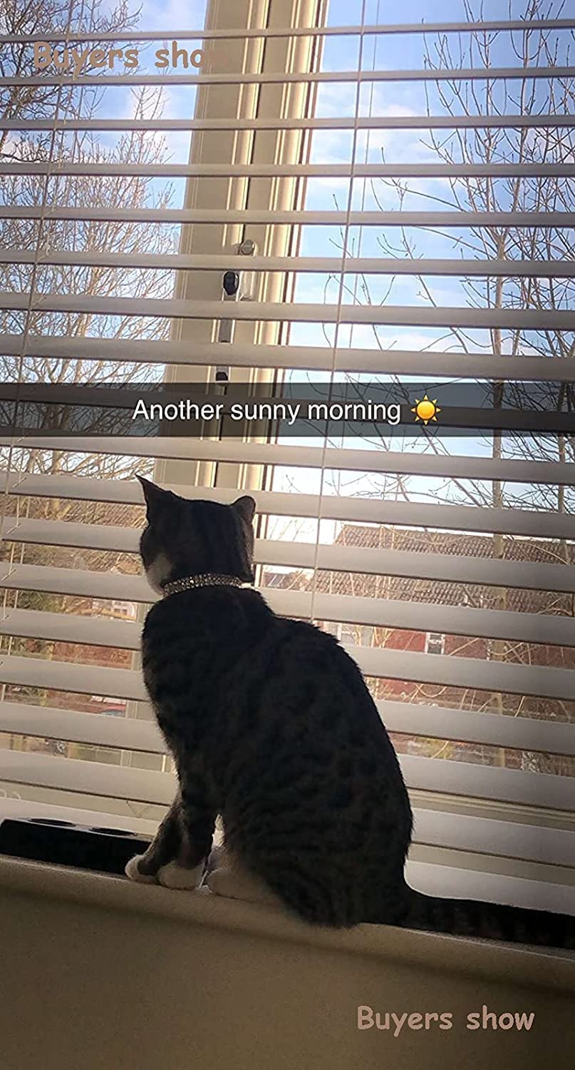 Chukchi Soft Velvet Safe Cat Adjustable Collar Bling Diamante With Bells,11 Inch For Small Dogs And Cats (Black)