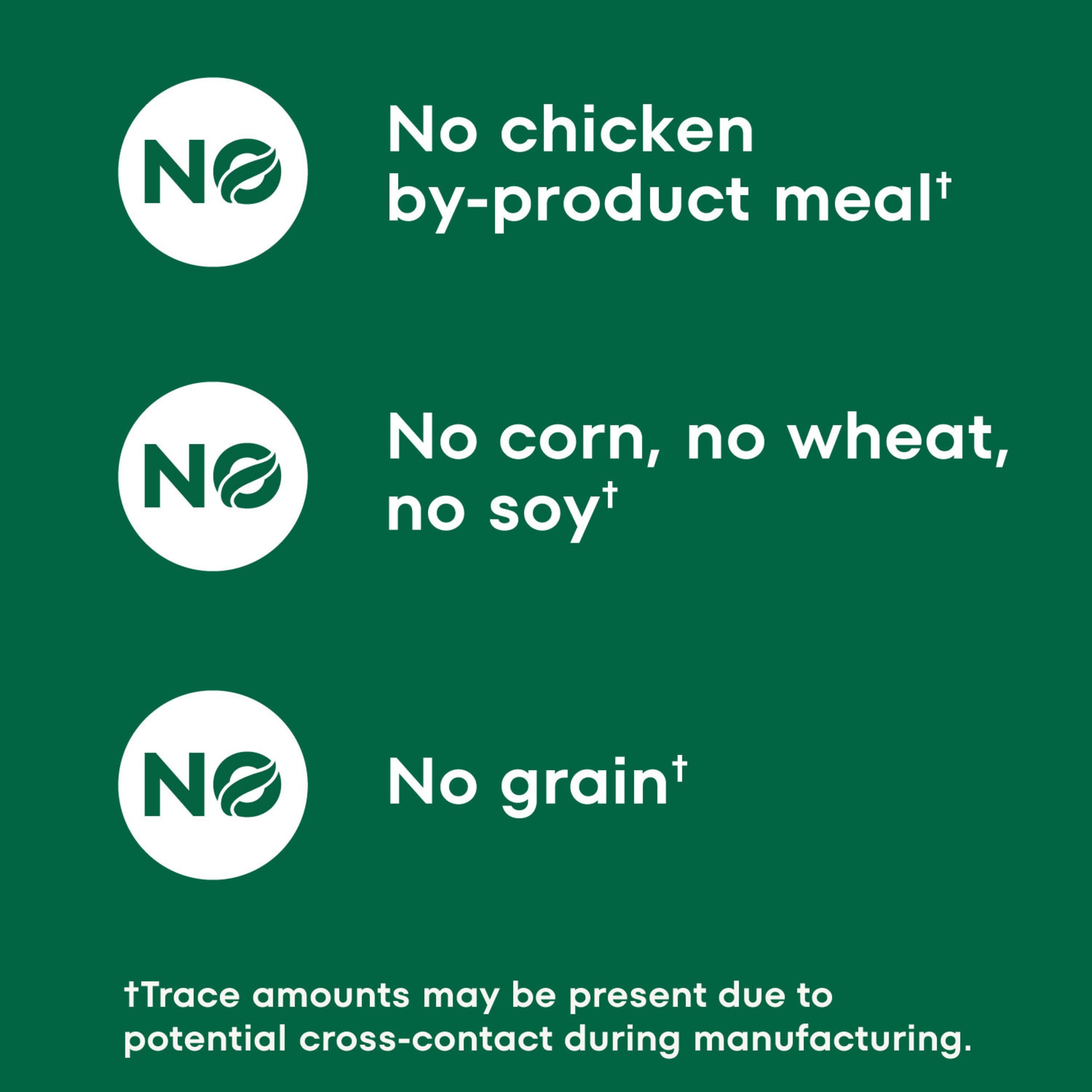 Nutro Puppy Grain Free Natural Wet Dog Food Bites in Gravy Tender Chicken, Sweet Potato & Pea Recipe, 3.5 oz. Trays (24 Count, P