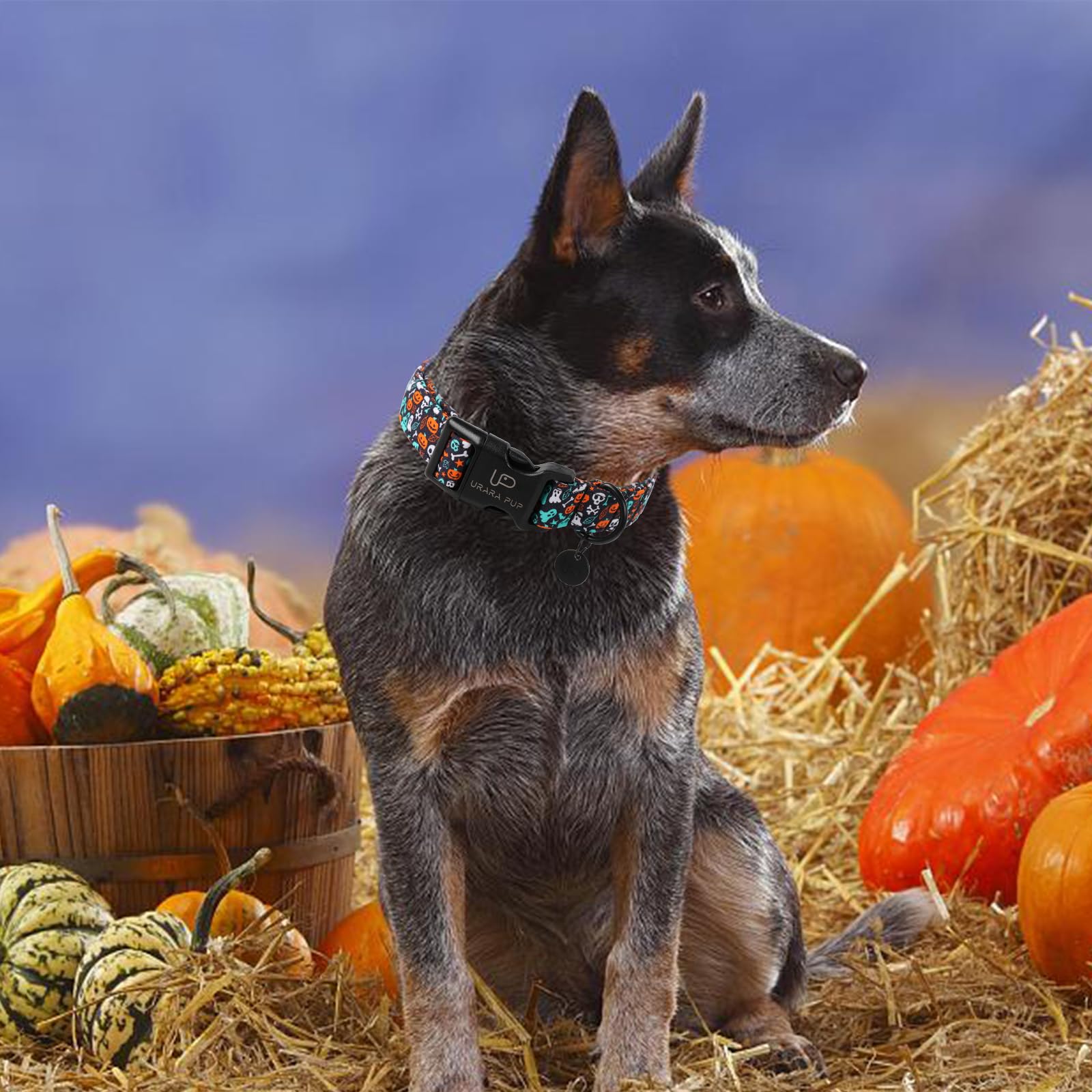 Halloween Dog Collar, Up Urara Pup Cotton Skull Ghost Dog Collar For Dog, Fall Pet Collar With Halloween Elements Pattern, Adjus