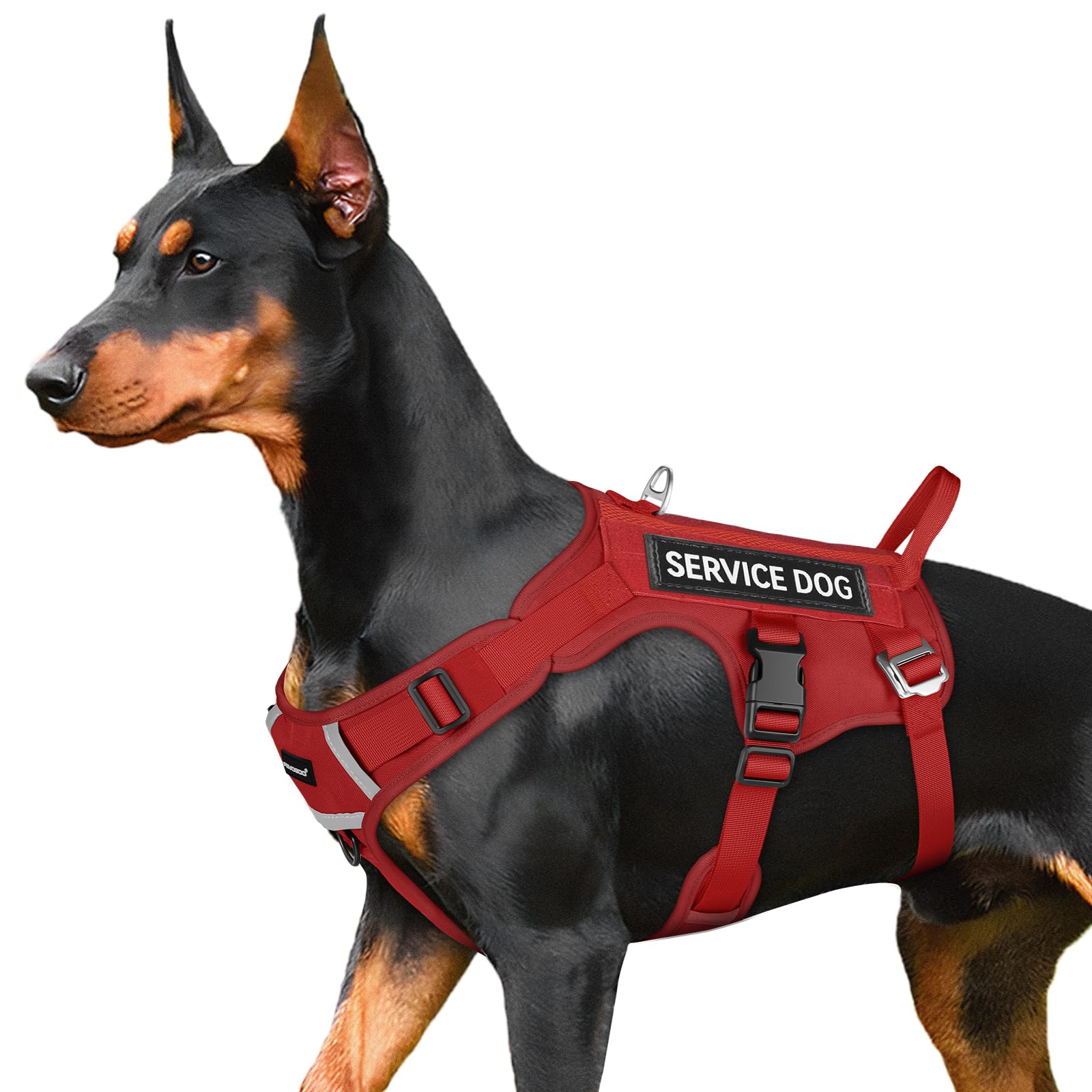 FAYOGOO Service Dog Harness for Medium Dog - Mesh Breathable Dog Harness Escape Proof with Handle - No Pull Military Service Dog