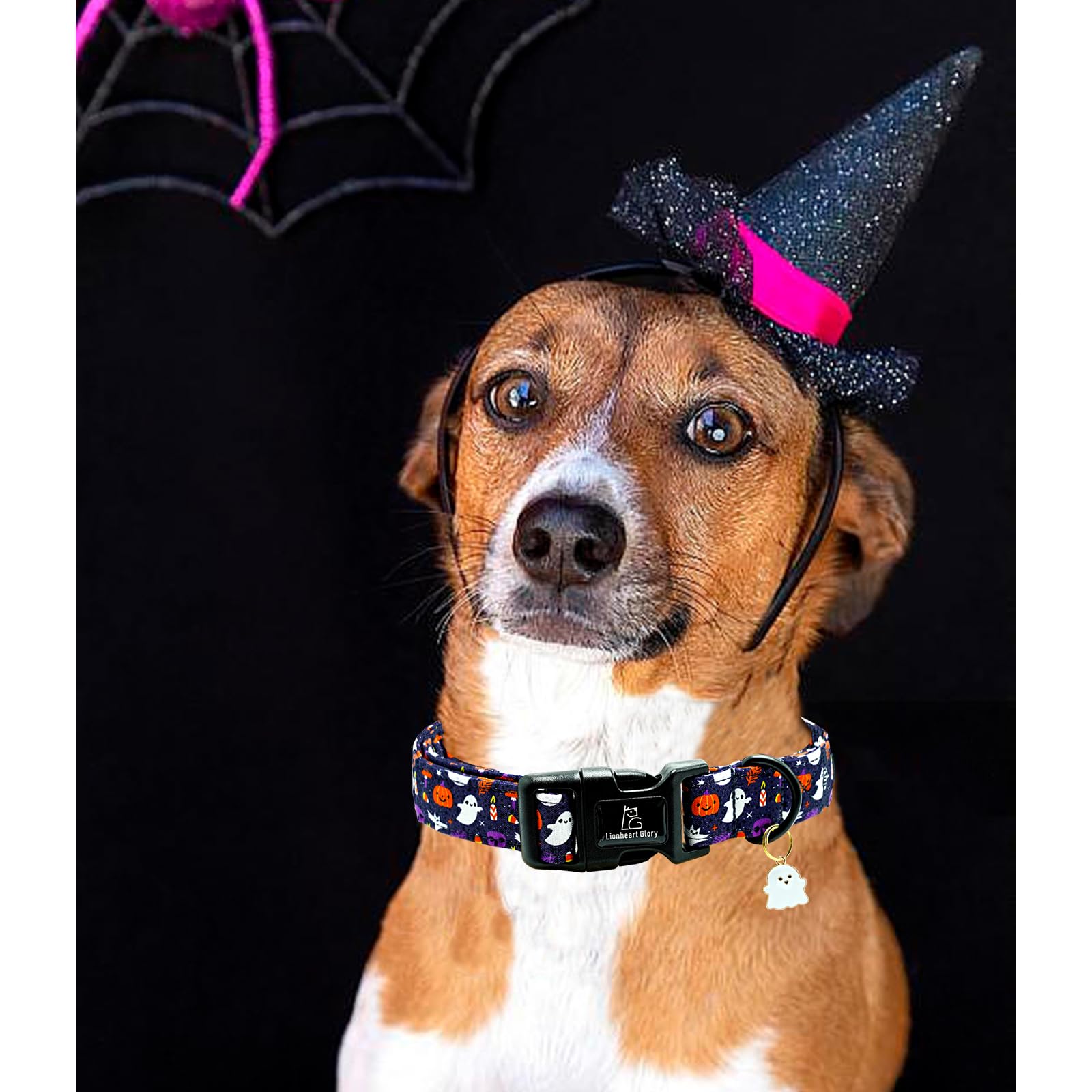 Lionheart Glory Dog Collars Fall Halloween Pumpkin Collar Dog Heavy Comfortable Adjustable Dog Collar For Large Dogs, Ghost, Pum
