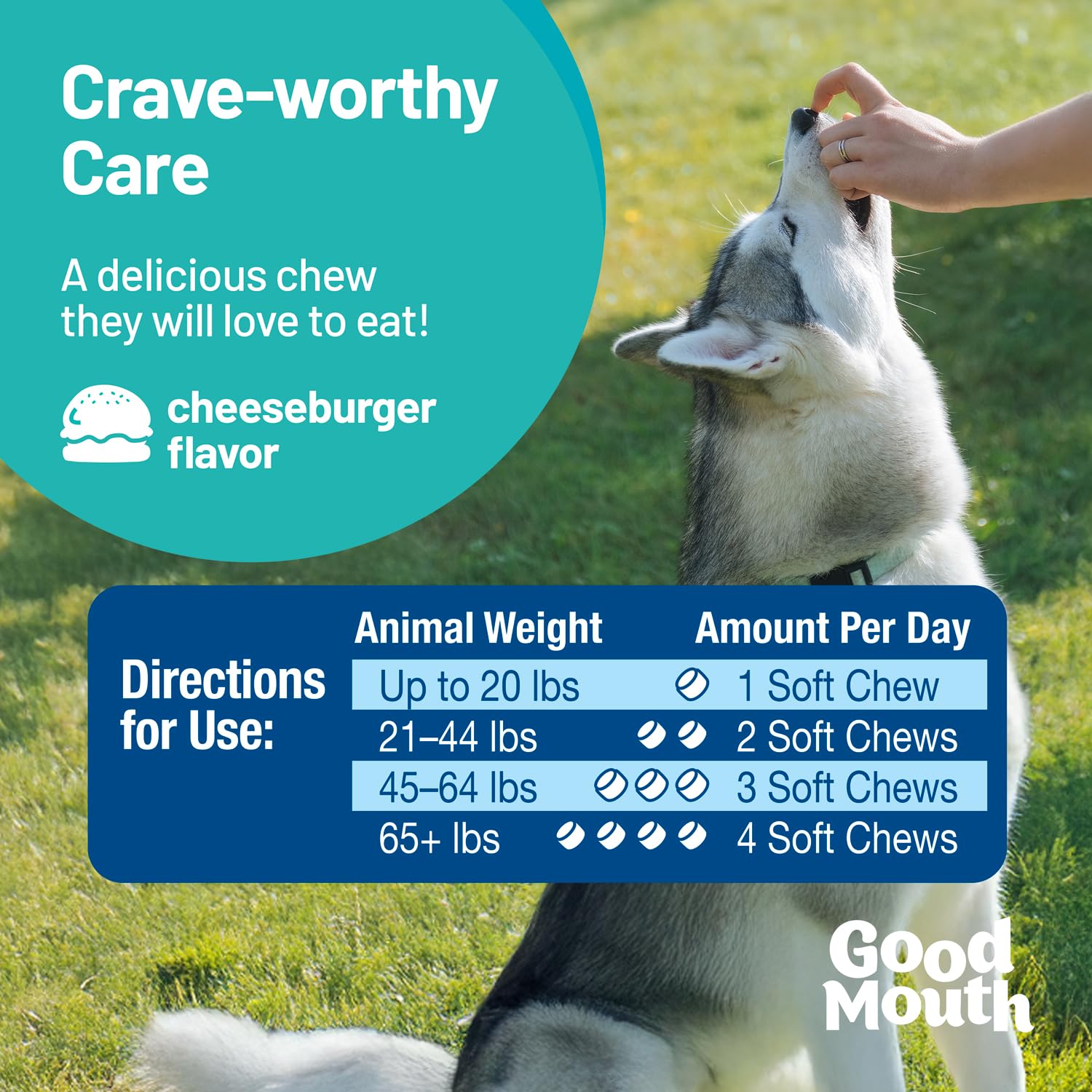 Pet HealthWorks Good Mouth Dental Chews for Dogs - Controls Plaque & Tartar, Fresh Breath, Cheeseburger Flavor, 60 Soft Chews