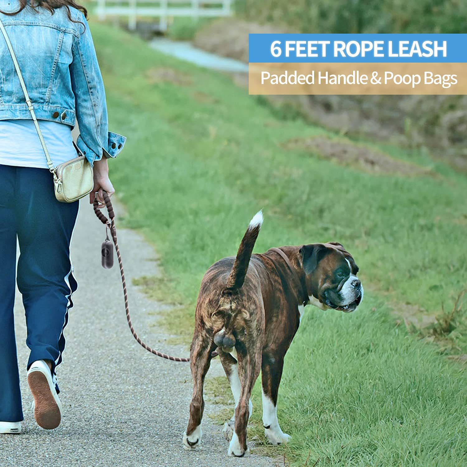 Baapet 2/4/5/6 Ft Dog Leash With Comfortable Padded Handle And Highly Reflective Threads For Small Medium And Large Dogs (6Ft-1/2'', Yellow)