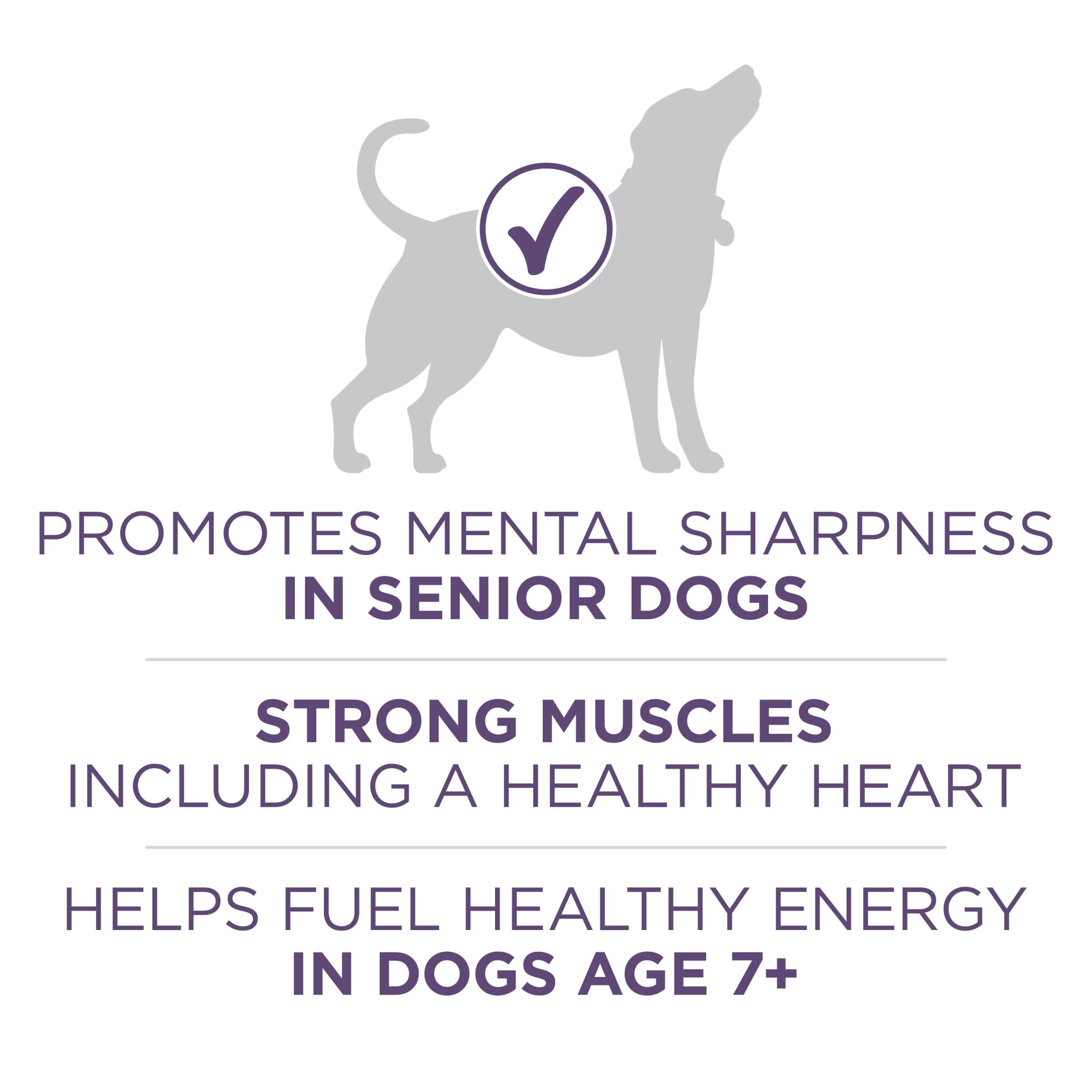Purina ONE High Protein Dry Senior Dog Food Plus Vibrant Maturity Adult 7 Plus Formula - 31.1 lb. Bag