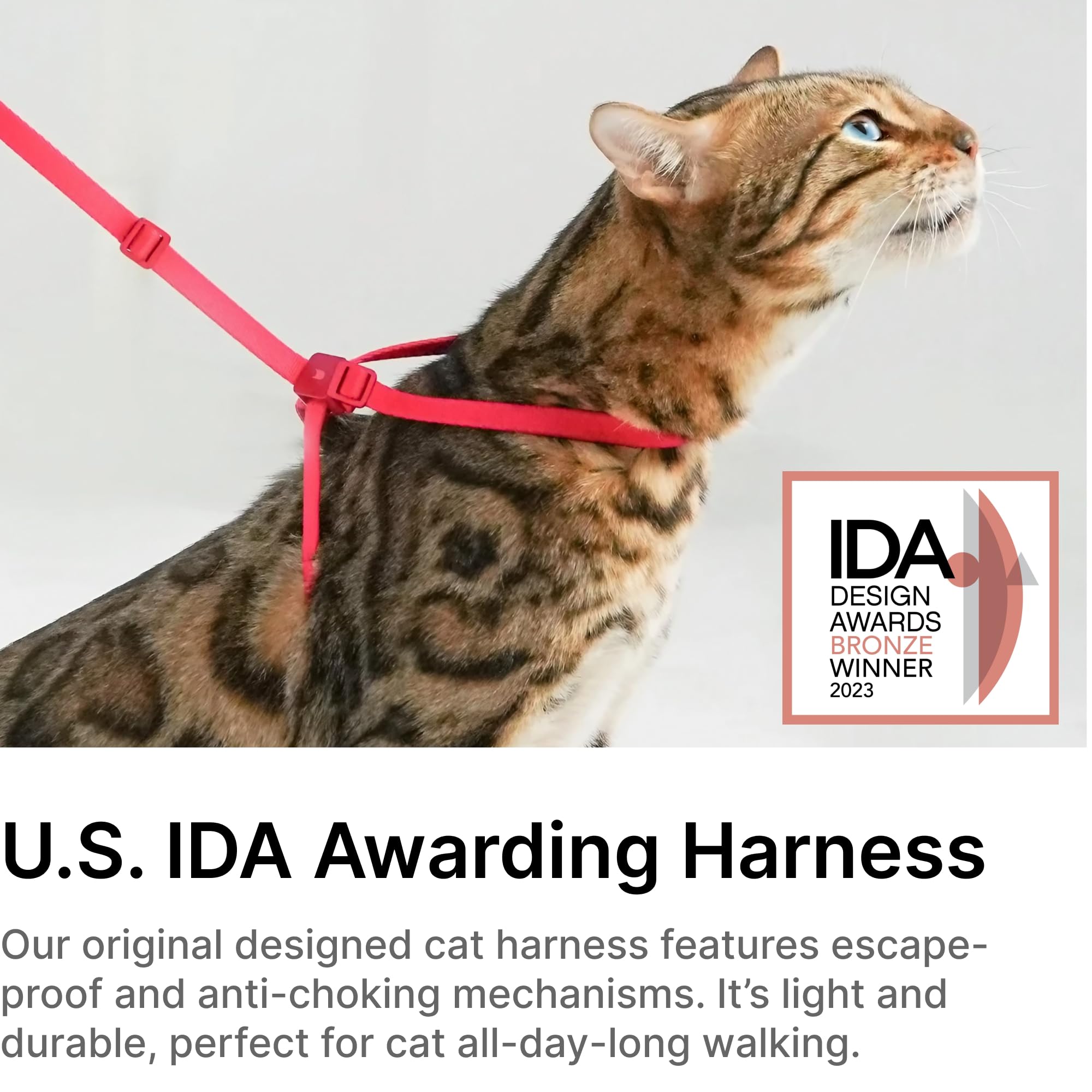 Buddyarmor Cat Harness And Leash 2-In-1, Escape Proof Anti-Chocking Harness Adjustable Lighweight Leash Walking Outoor Training