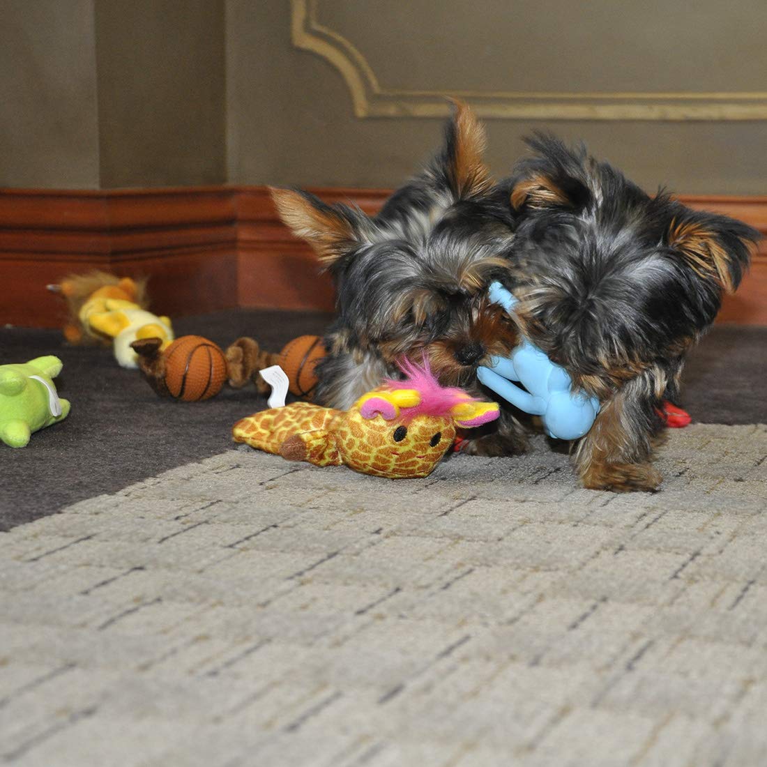 Coastal Pet Li'L Pals Plush And Vinyl Dog Toy 8' Basketball Tug (1-Unit)