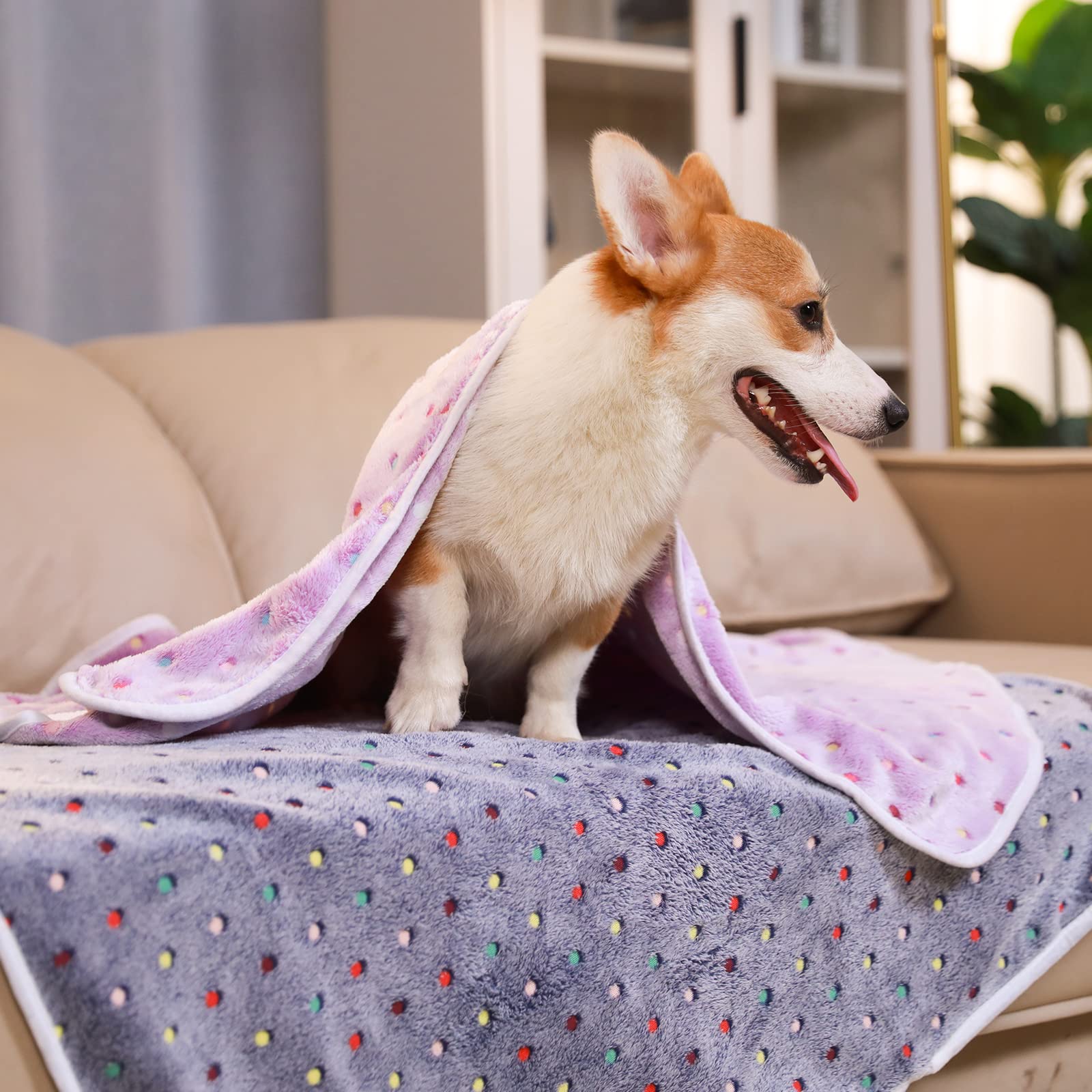 1 Pack 6 Blankets Dog Cat Soft Fluffy Fleece Pet Blanket Warm Cute Print Design Puppy Kitten Blanket Doggy Dot Medium(30X20)