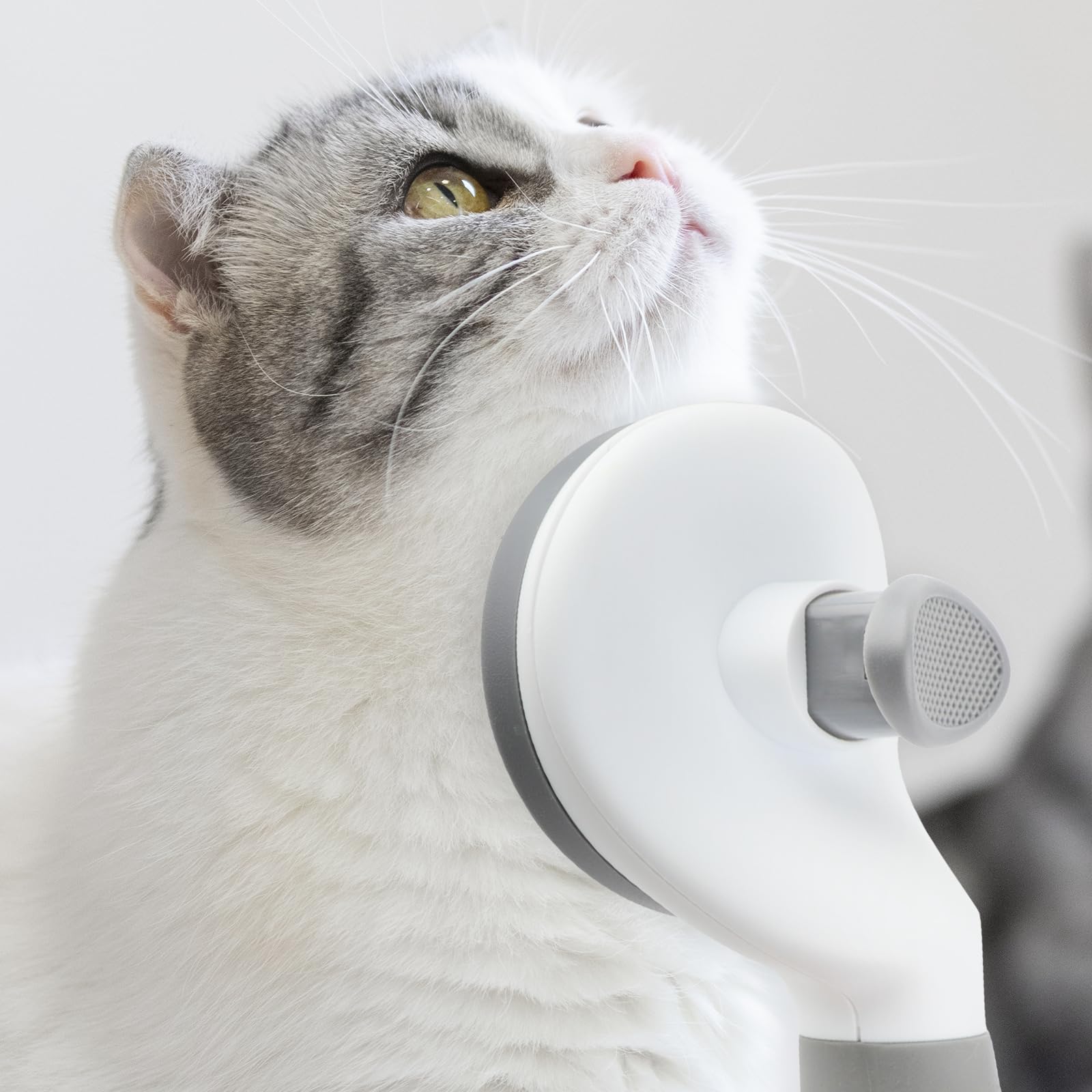 Cat Brushes For Indoor Cats, Dog Brush For Shedding With Metal Cat Comb, Self Cleaning Pet Hair Brush With Release Button For Gr