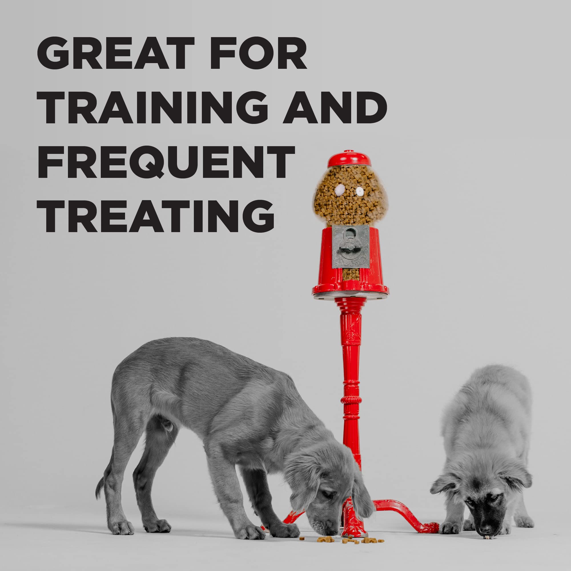 BIXBI Pocket Trainers, Chicken (6 oz, 1 Pouch) - Small Training Treats for Dogs - Low Calorie and Grain Free Dog Treats, Flavorf
