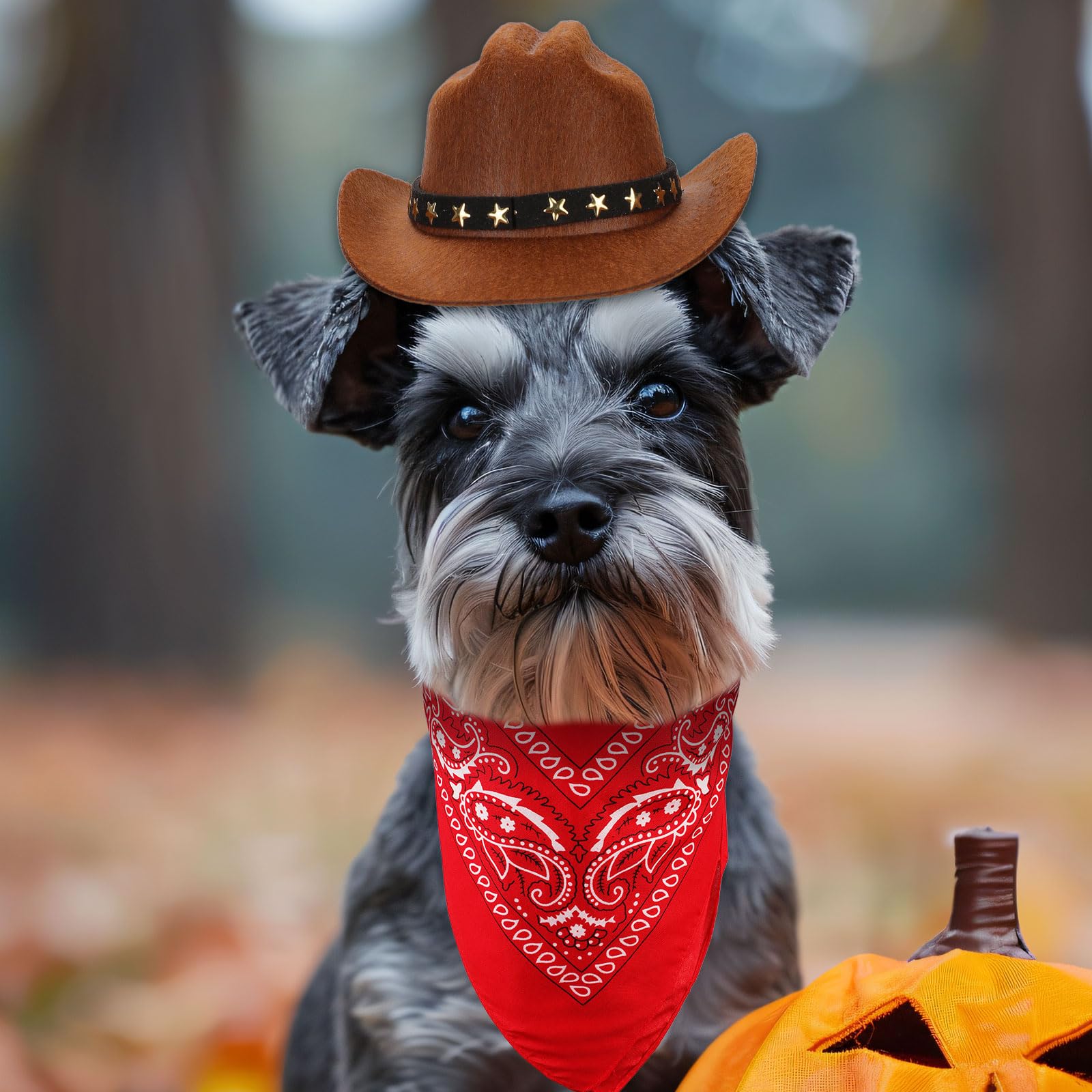 Pet Cowboy Costume, Dog Cowboy Costume Dog Cowboy Hat & Dog Bandana Scarf Dog Halloween Costumes Outfit Accessories For Small Ca
