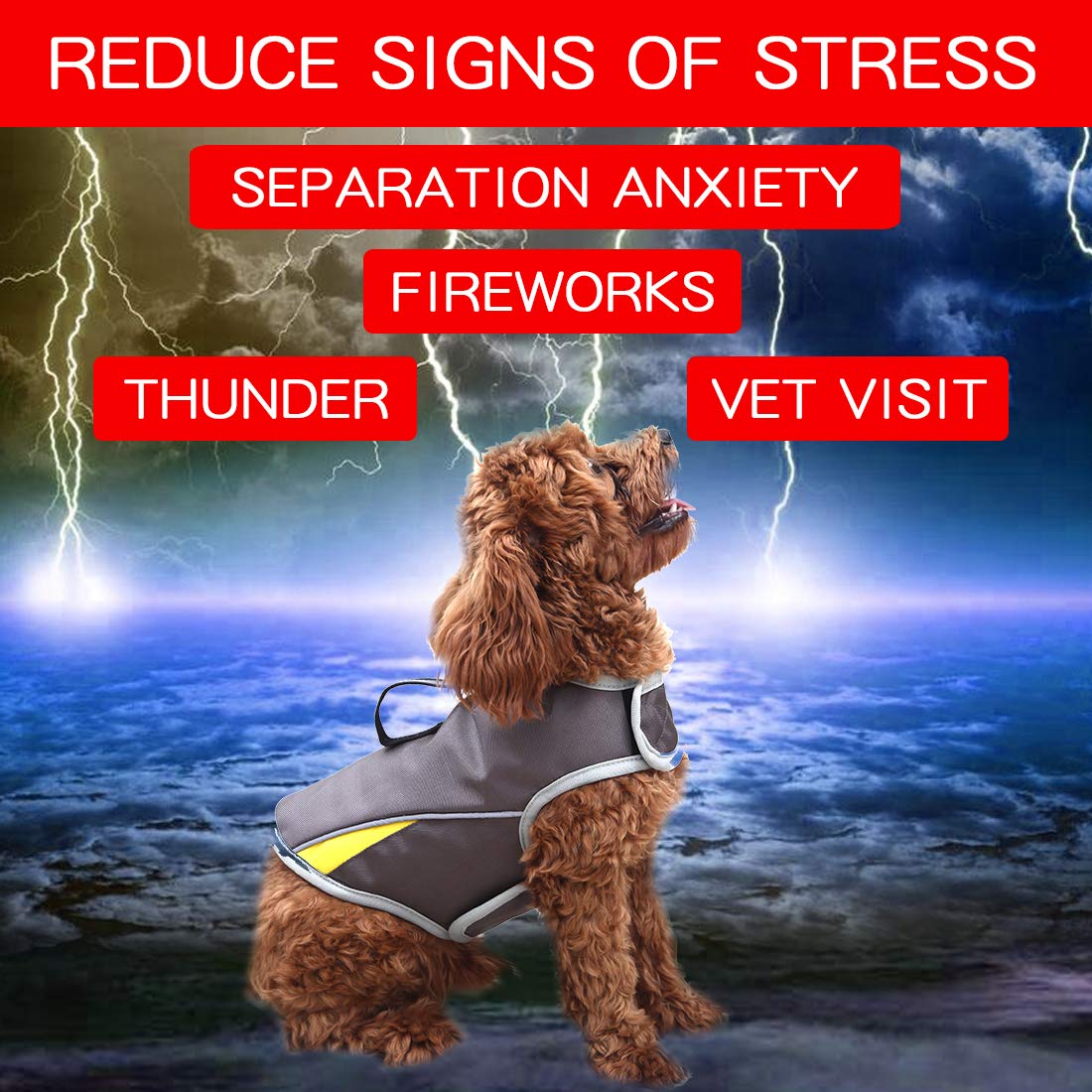 Dog Anxiety Jacket Keep Calming Vest Thunder Coat with D-Ring and Training Handle for Small Dogs