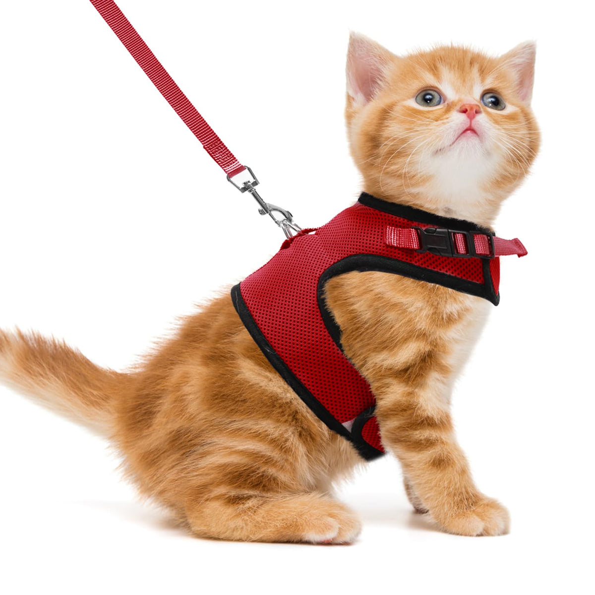 Pupteck Soft Mesh Cat Vest Harness And Leash Set Puppy Padded Pet Harnesses Escape Proof For Cats Small Dogs, Red Small
