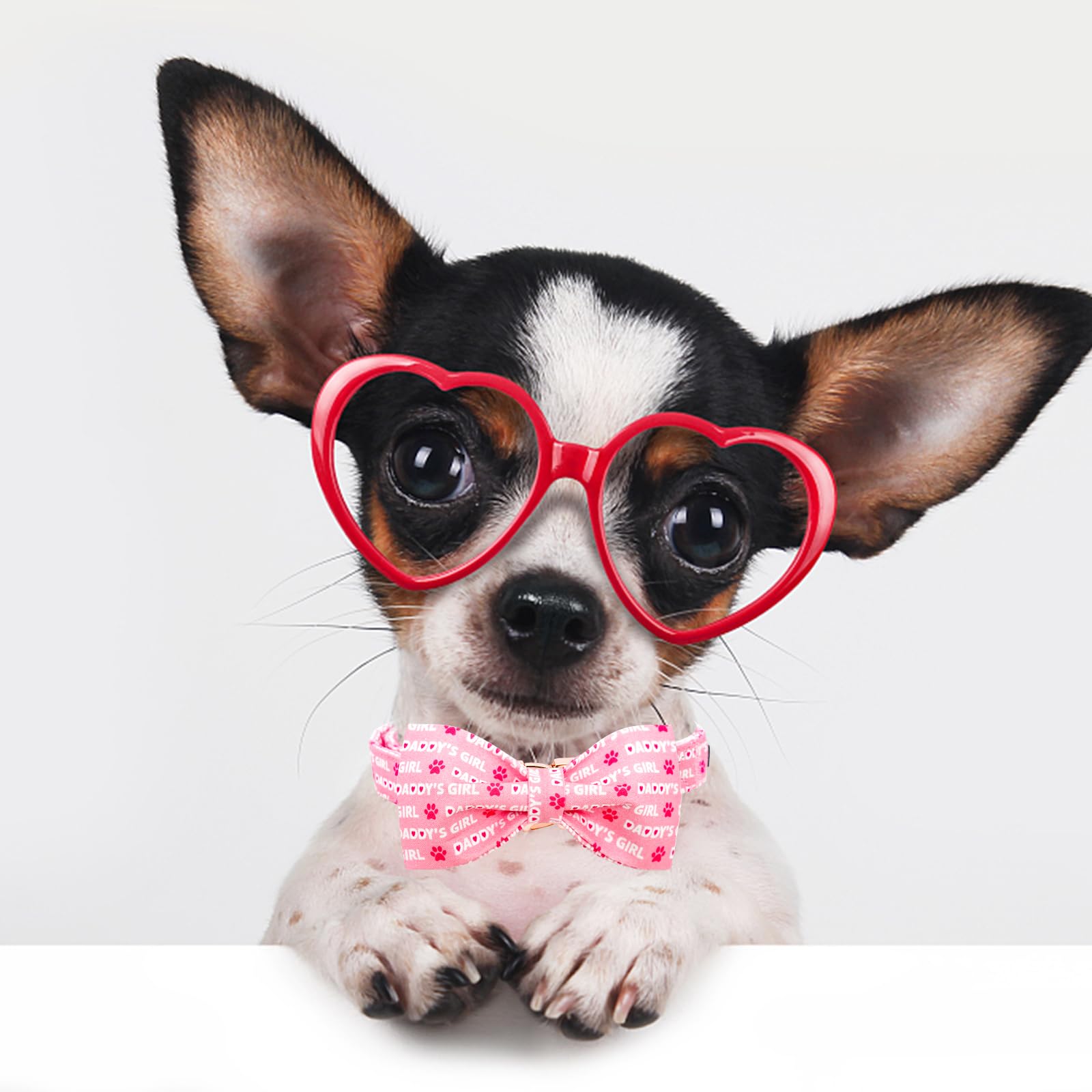 Lionheart Glory Dog Bow Collar Valentine'S Day Dog Collar For X-Small Dogs, Pink Dog Collars With Bowtie Spring Dog Collar Puppy