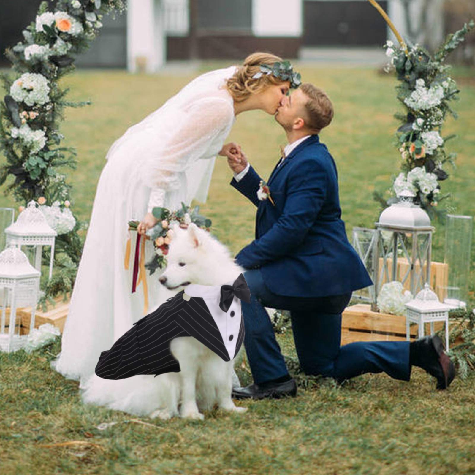 Idomik Dog Tuxedo For Small Medium Large Doggie, Detachable Dog Formal Wedding Suit With Tuxedo Vest & Bow Ties Collar & Bandana