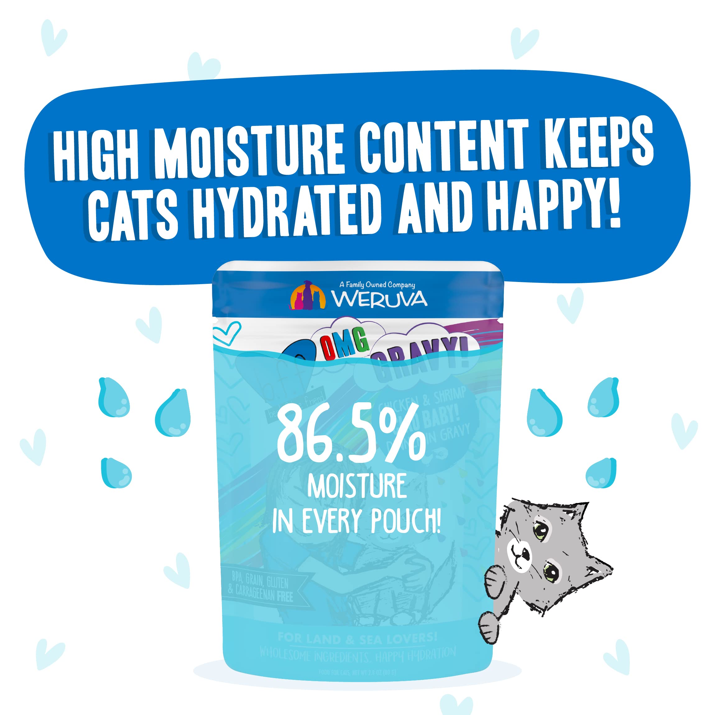 Weruva B.F.F. OMG - Best Feline Friend Oh My Gravy!, Ciao Baby! with Chicken & Shrimp in Gravy Cat Food, 2.8oz Pouch (Pack of 12