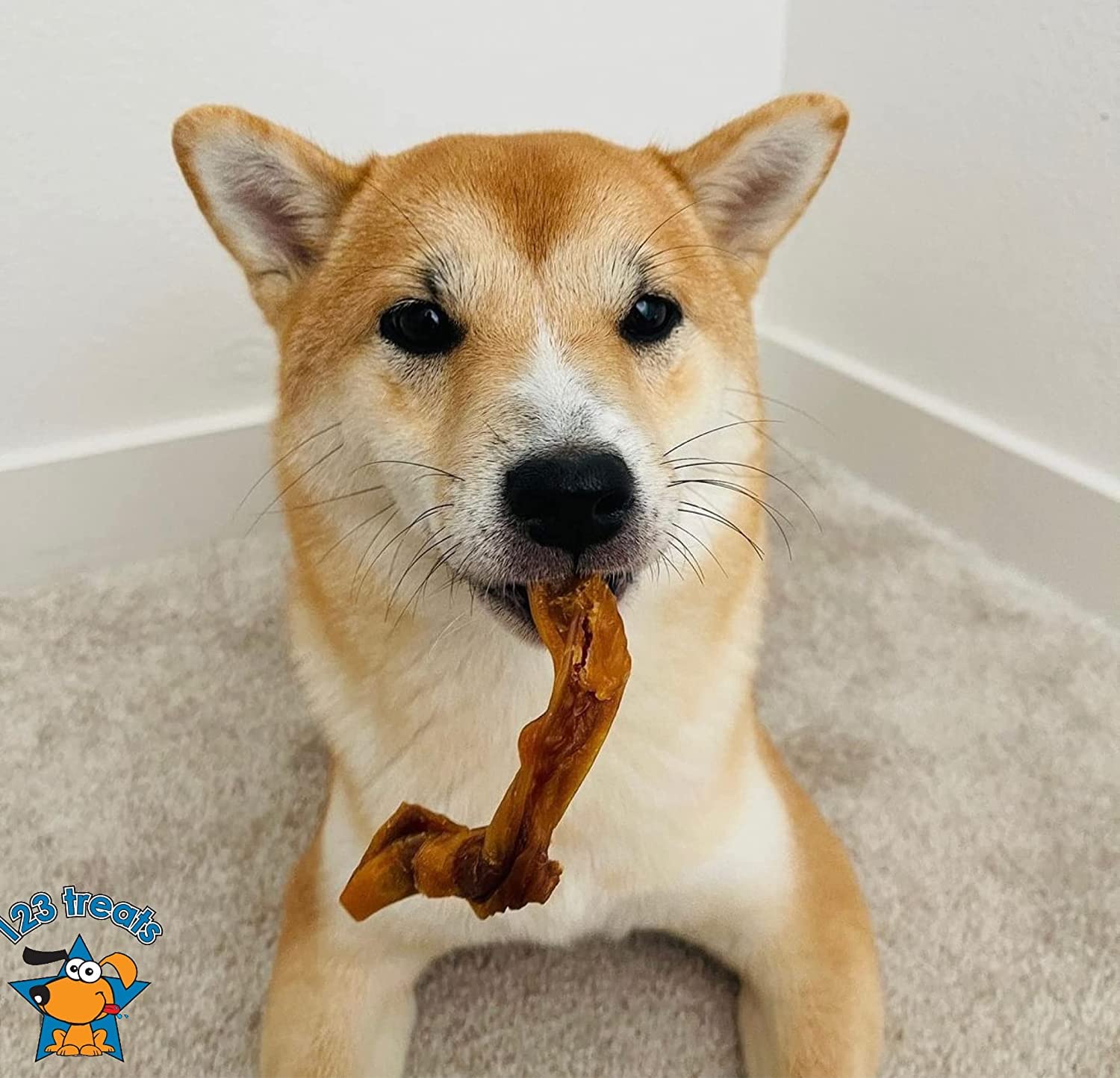 123 Treats Pig Ears Strips for Dogs - (16 Ounce) 100% Natural, Long Lasting & Highly Digestible Chew Treats, Single Ingredient,