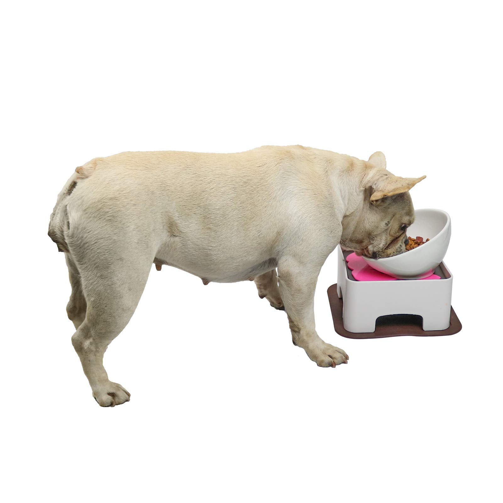 Wz Pet Raised Ceramic Dog Feeding Bowl,Adjustable Elevated Dog Bowls Set AntiSlip,Standing Pet Feeding Dish For Small Medium Do