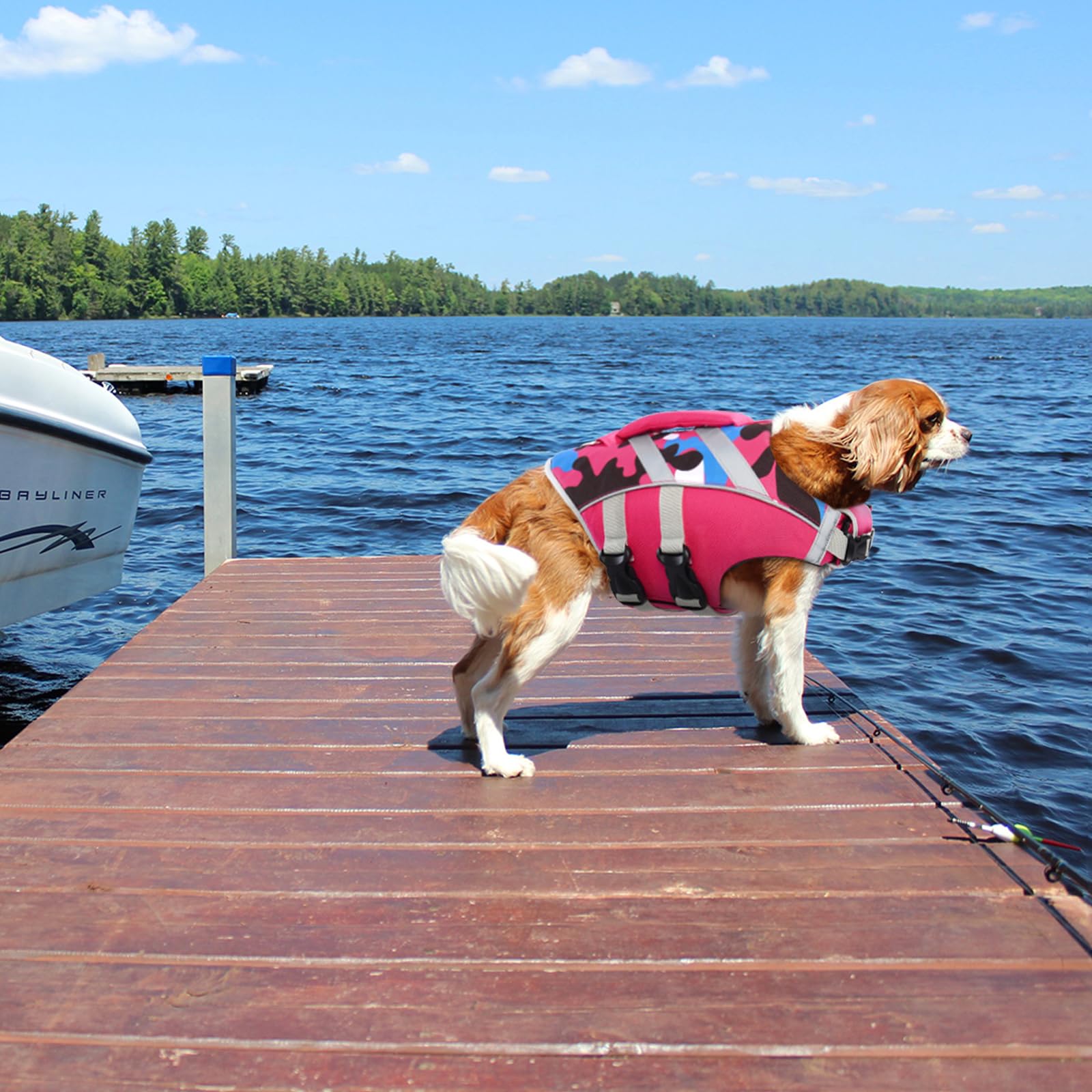 Kuoser Dog Life Jacket With Reflective Stripes - Adjustable High Visibility Vest, Ripstop Lifesaver, Pet Preserver With High Flo