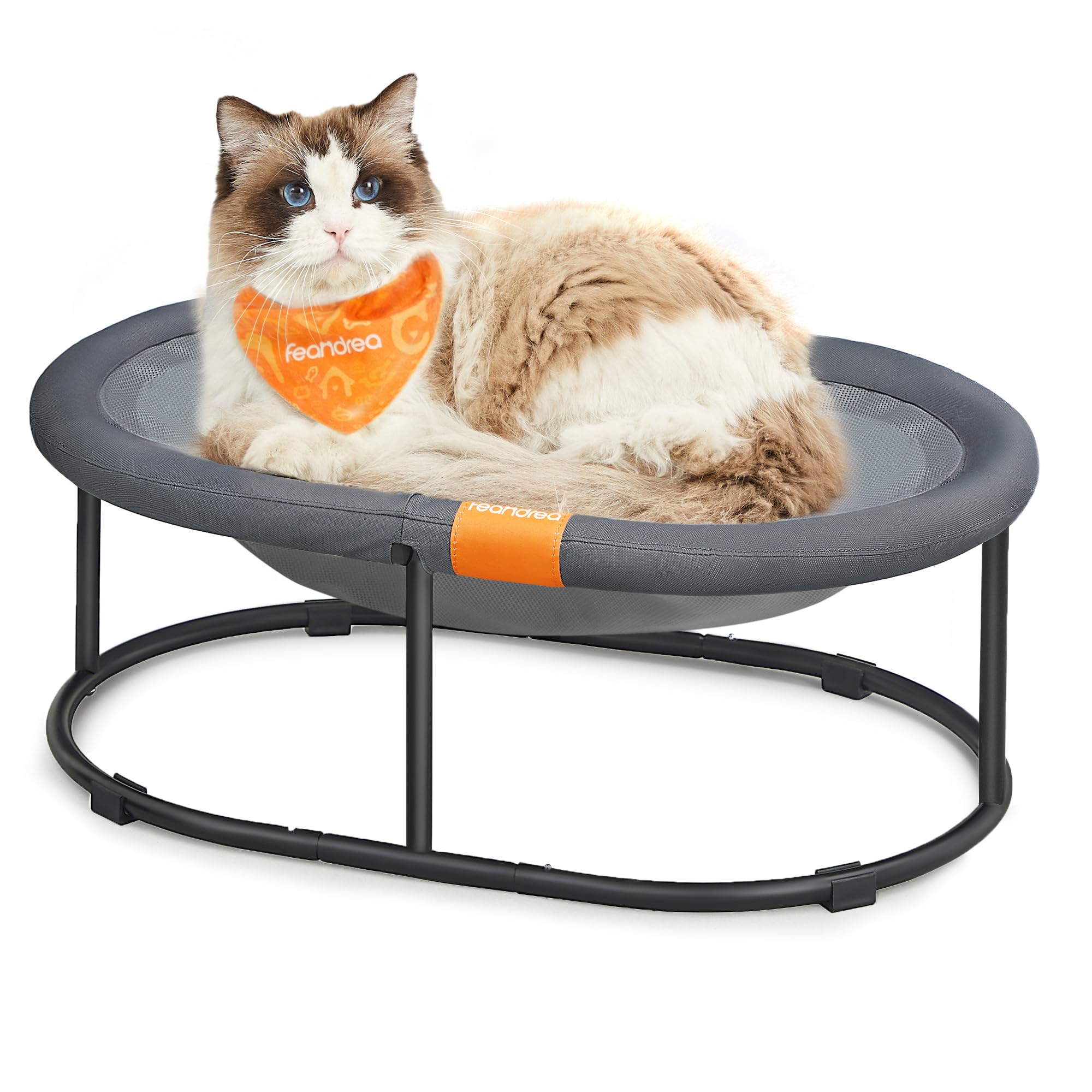 Feandrea Pet Bed, Cat Hammock, Elevated Cat Bed For Multiple Cats, With Removable Washable Mesh, For Pets Up To 28 Lb, Oval, Gra