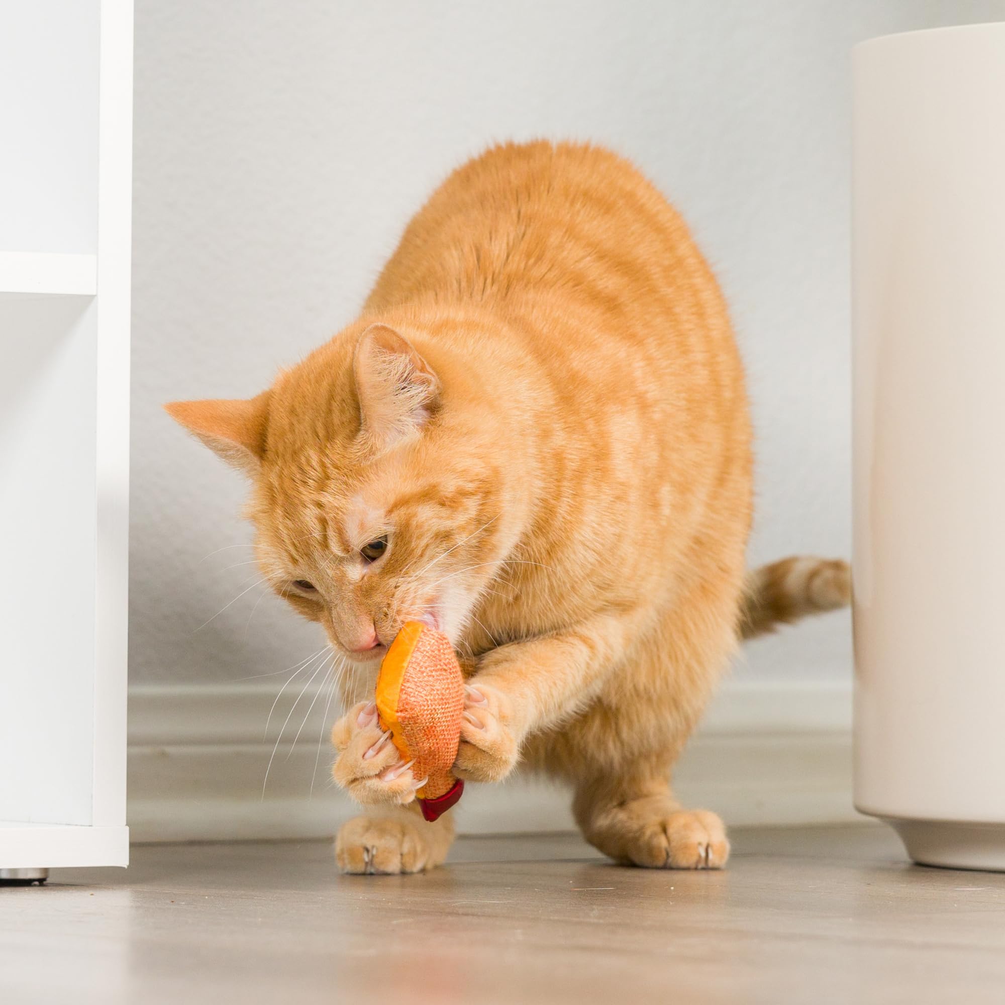 Huxley & Kent Plush Cat Toy - Hairball Cinnamon Whiskey - Nappy Hour Strong Catnip Filled - Plush Interactive Kitten and Cat Toy