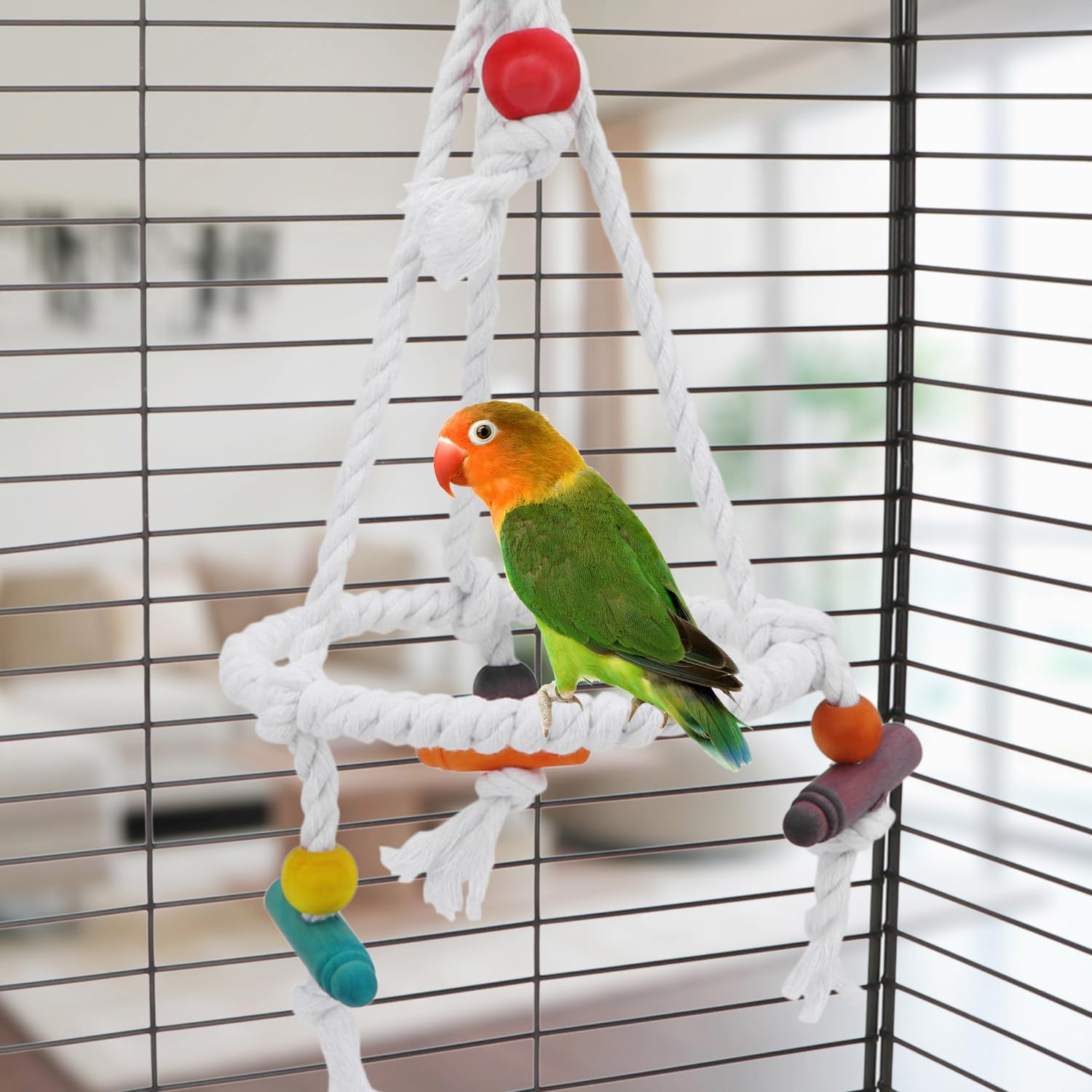 Hypeety Pet Bird Parrot Swing - Hanging Hammock For Parakeets, Budgies, Conures & Quaker Parrots - Cotton Rope Round Swing Toy