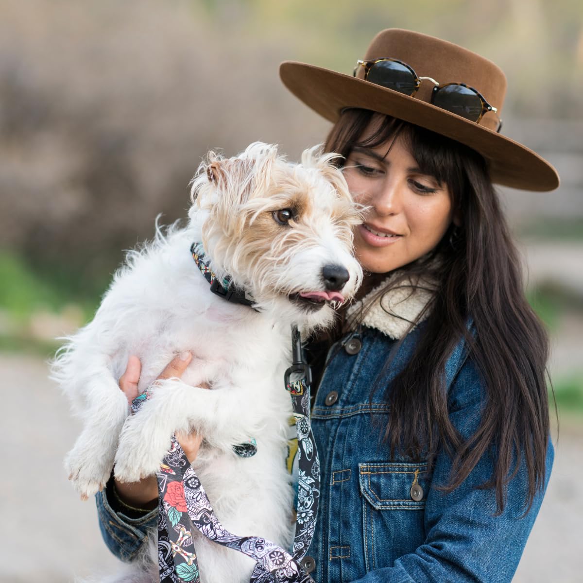 Wolfgang Heavy Duty Martingale Dog Collar With Quick Release Nylon Buckle For Walking & Training, Losmuertos Print, Small