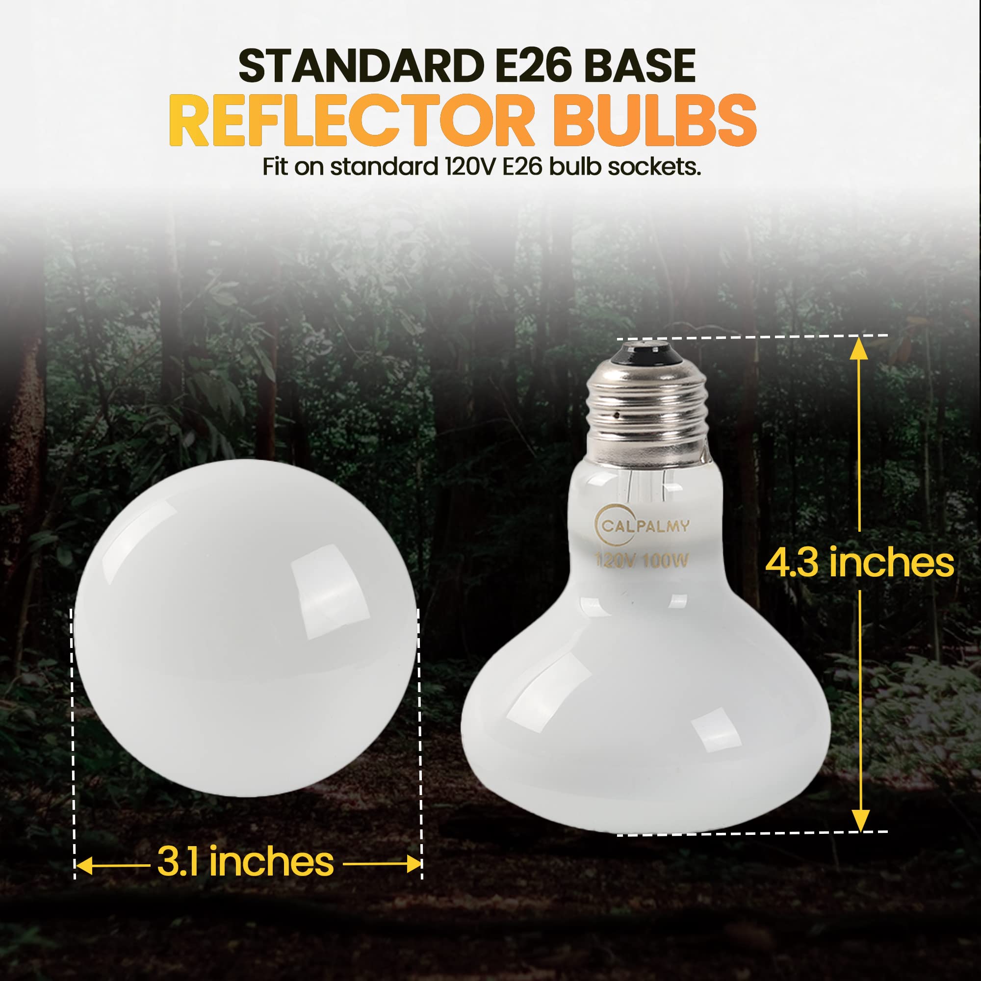 CALPALMY (4-Pack 100W Reptile Heat Lamp Bulbs - UVA Daylight Basking Light Bulbs for Reptiles, Turtles, Lizard, Bearded Dragon a