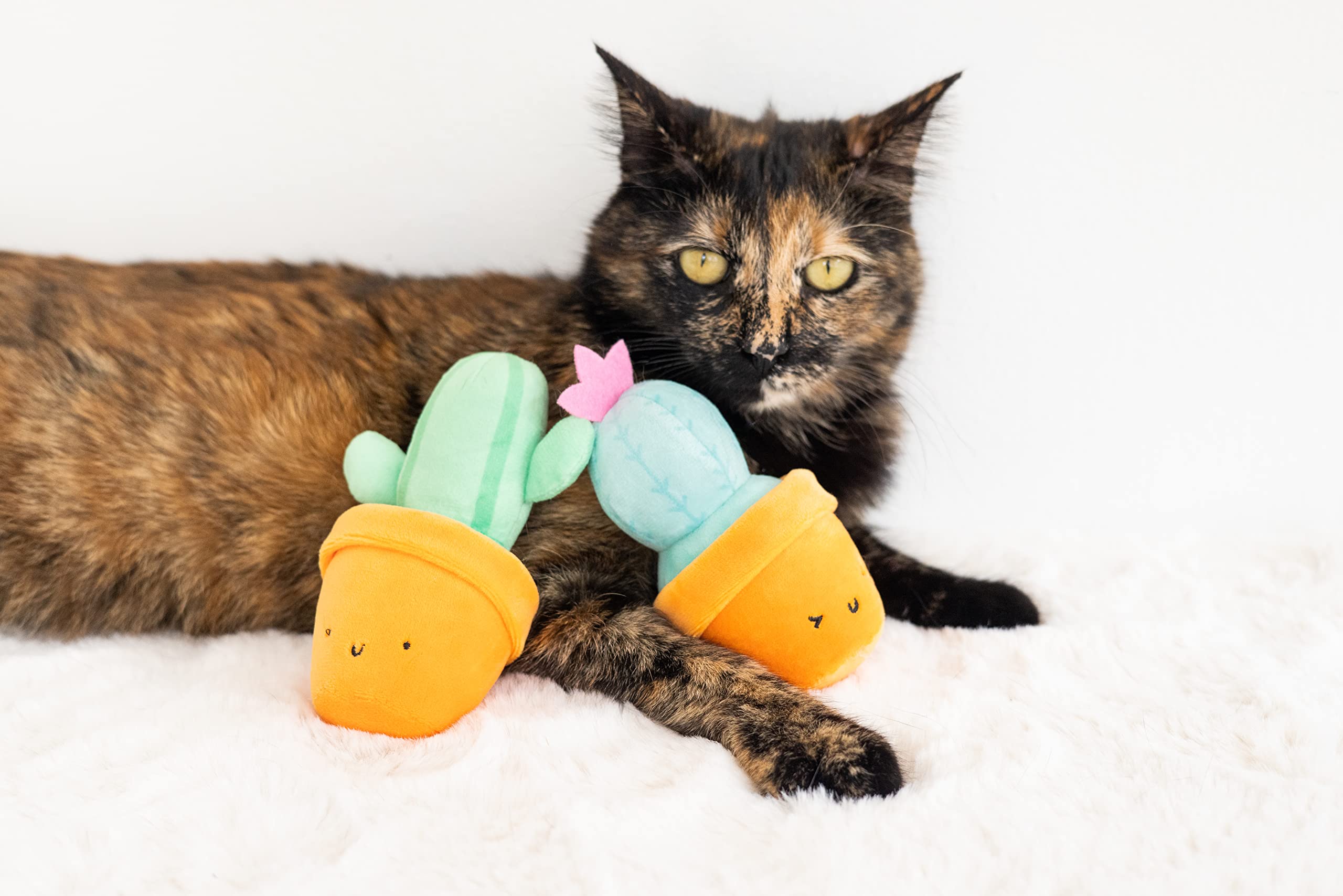 Pearhead Prickly Plants Cat Toy Set, Cute Catnip Toys, Plush Cactus Interactive Chew Toys, Pet Owner Must Have Catnip Toys, Set Of 2 Plush Toys