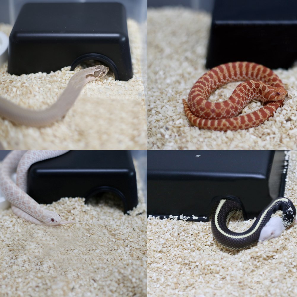 Hypeety Reptile Hide Box, Small Animal Hideaway, Hides With Texture Help Peeling, For Snakes, Lizards, Leopard Gecko (S)
