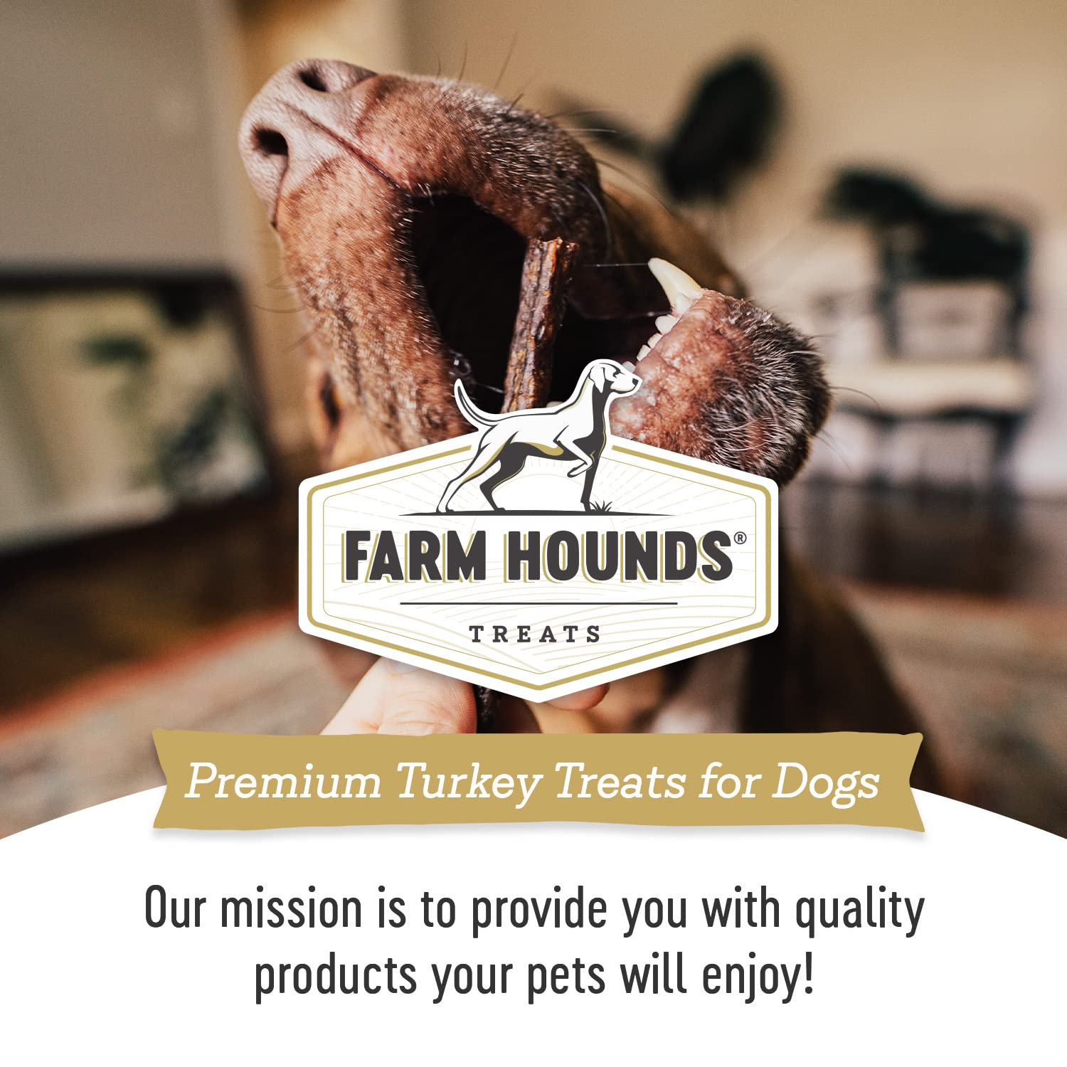 Farm Hounds - Turkey Gizzards - Premium Natural Jerky for Dogs - 100% Humanely Raised Turkey - Break-to-Size - Great for Trainin