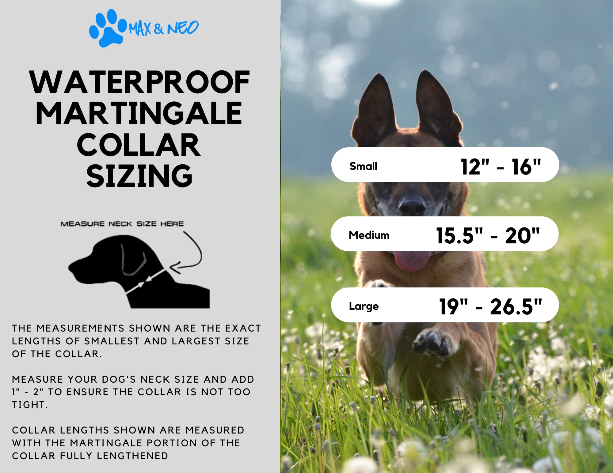 Max And Neo Waterproof Martingale Dog Collar - We Donate A Collar To A Dog Rescue For Every Collar Sold (Large, Black)