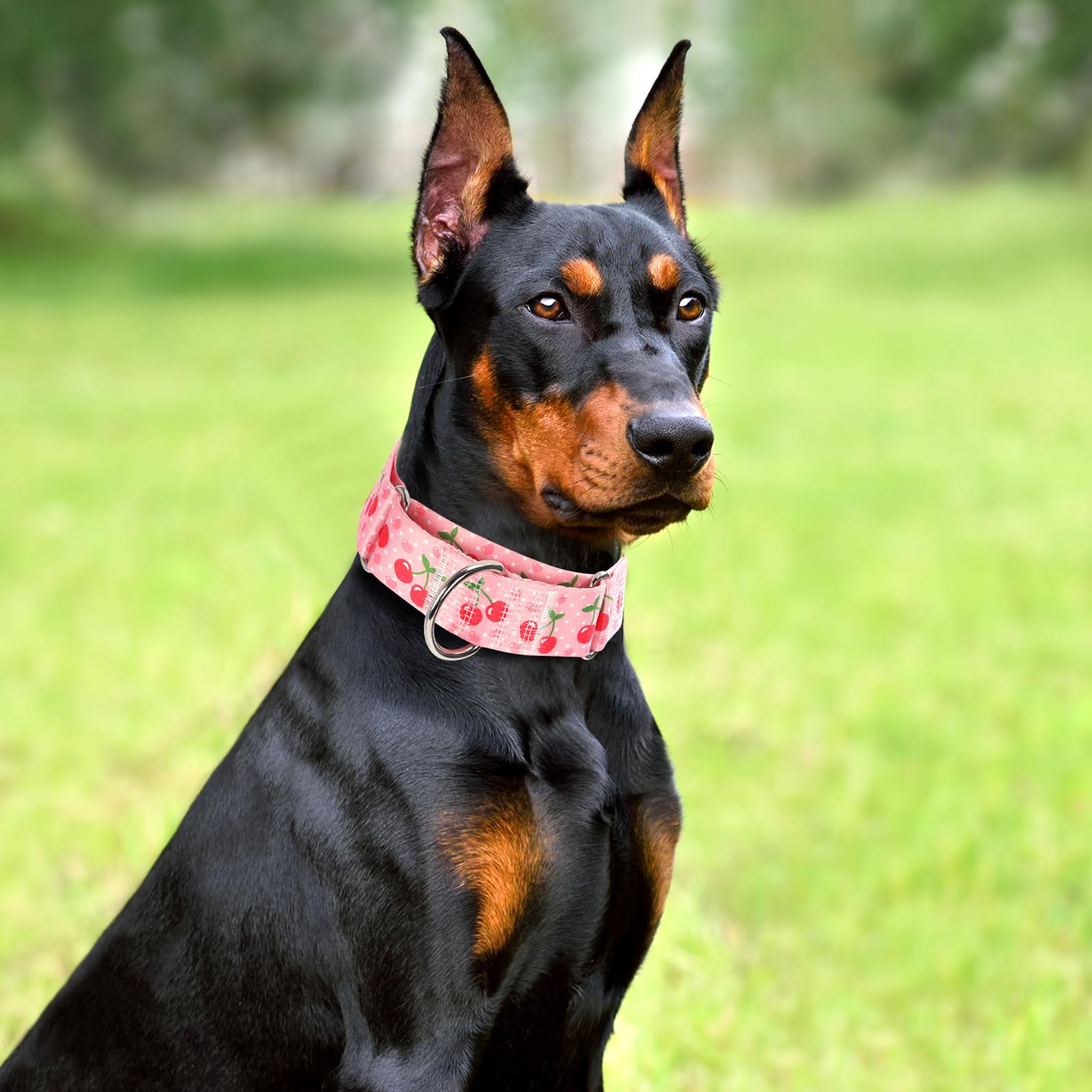 1.5 Inch Wide Martingale Collar For Medium Dogs,Big Thick Dog Collarno-Slip Escape Proof Choke No Pull Cinch For Male And Female