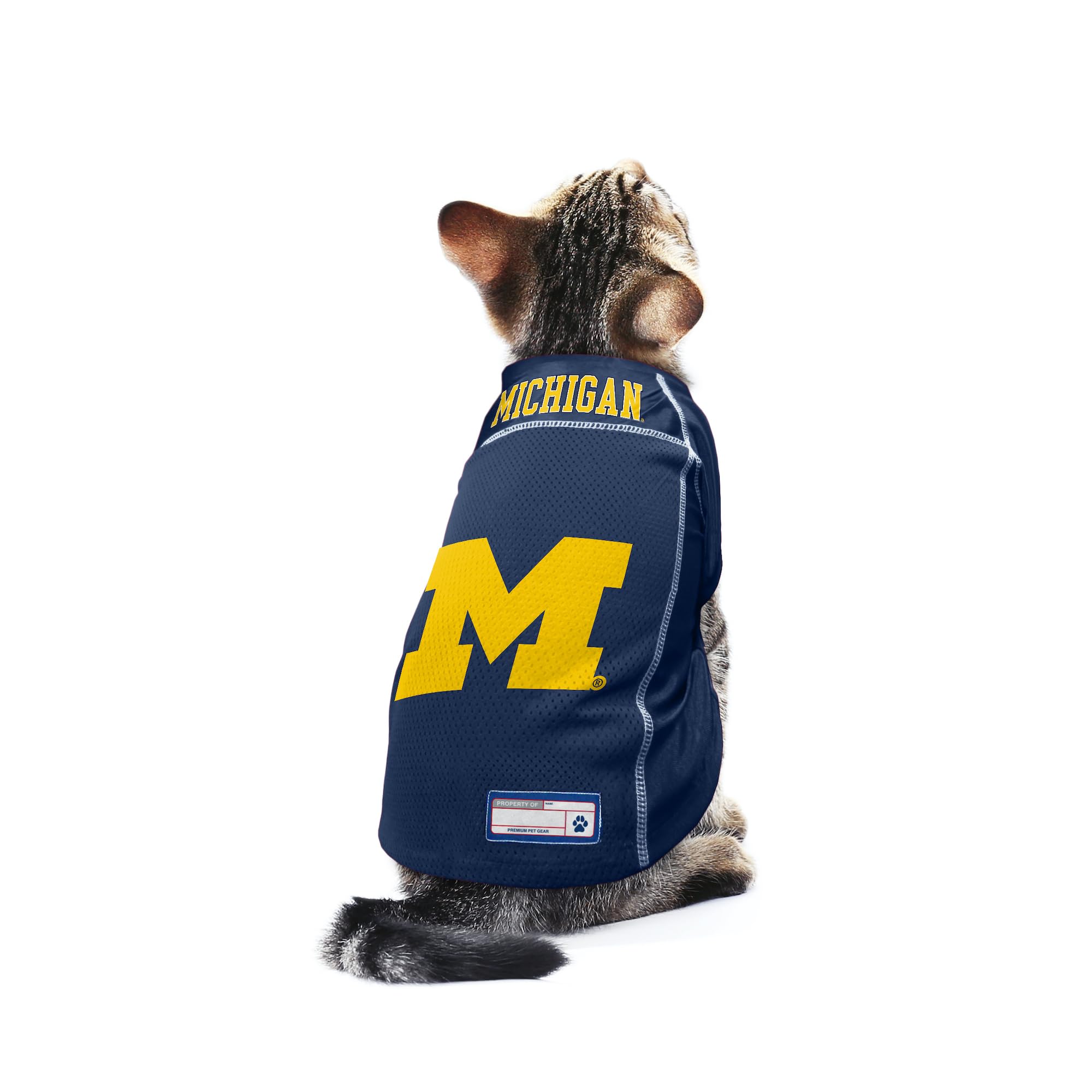 Littlearth Unisex-Adult Ncaa Michigan Wolverines Basic Pet Jersey, Team Color, Large